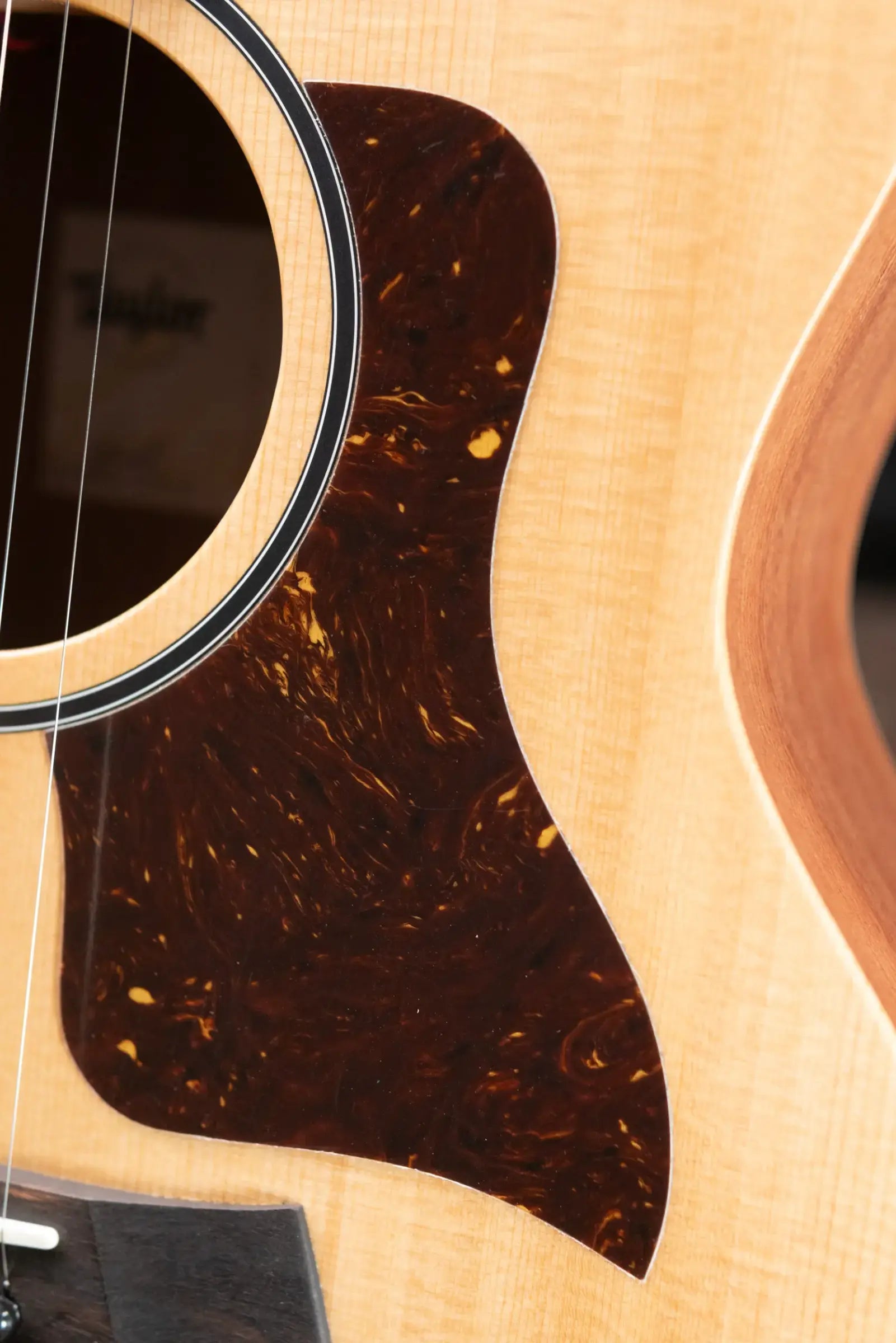 Taylor 14ce Grand Auditorium Acoustic/Electric Guitar with Gig Bag