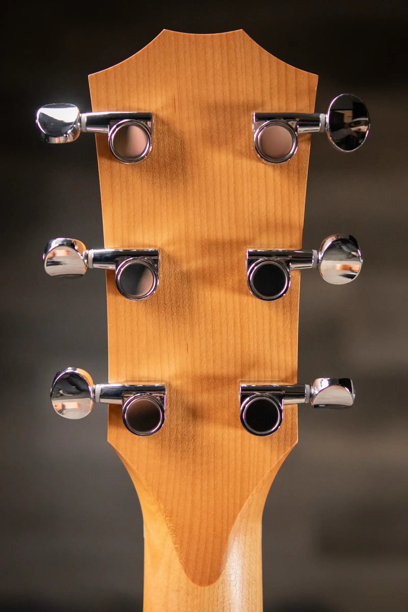 Taylor 14ce Grand Auditorium Acoustic/Electric Guitar with Gig Bag