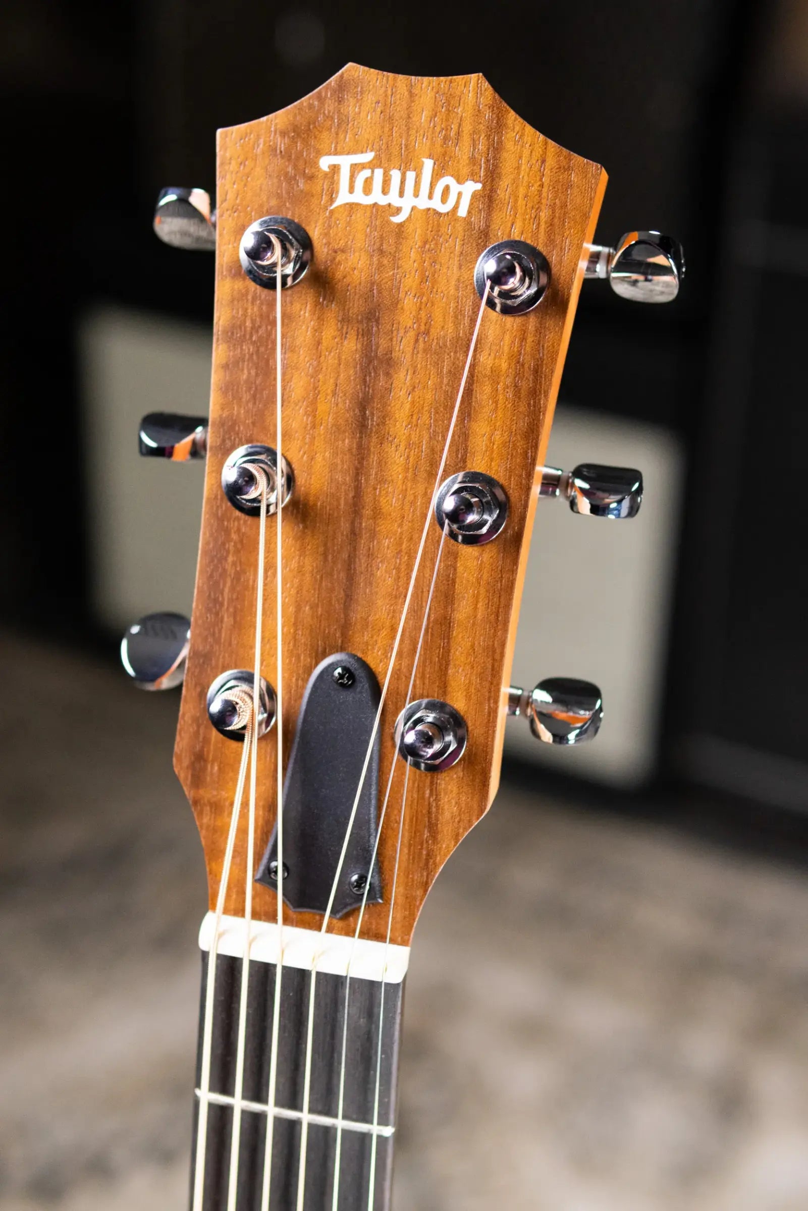 Taylor 14ce Grand Auditorium Acoustic/Electric Guitar with Gig Bag