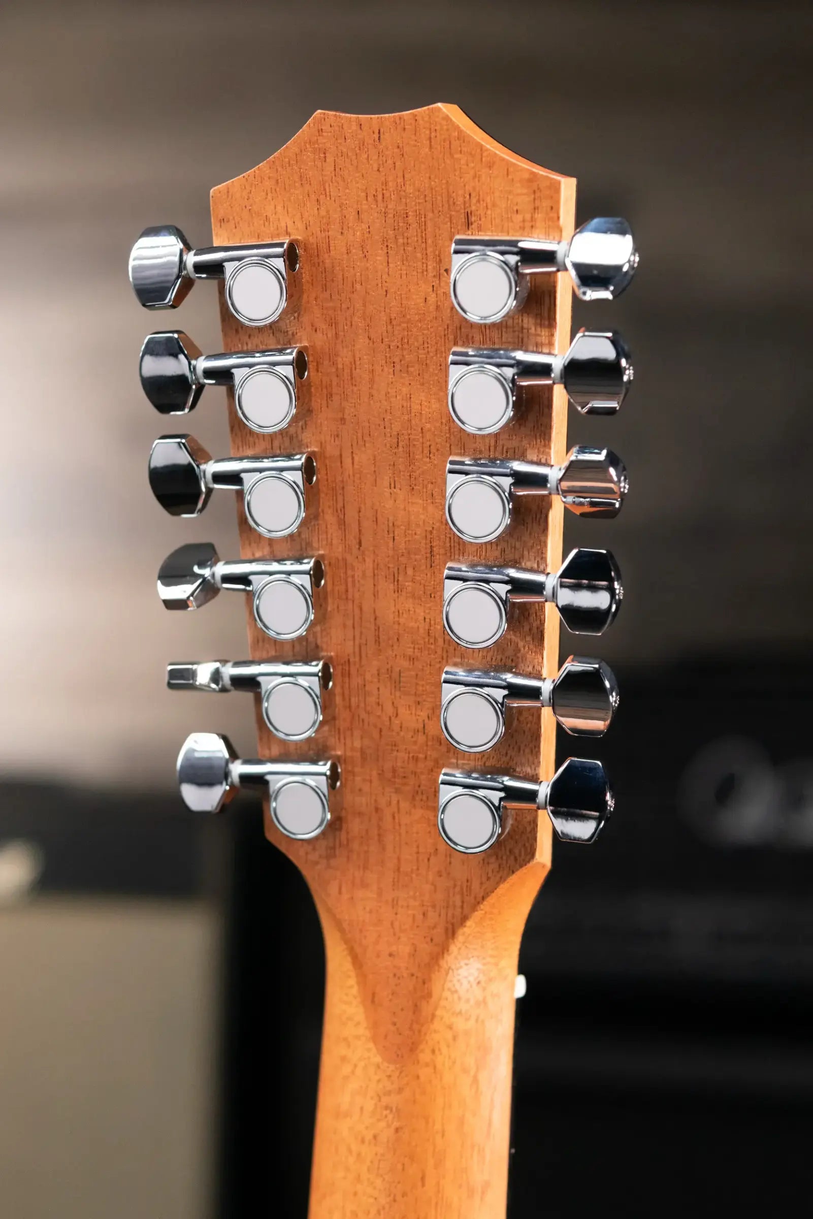 Taylor 150ce 12-String Dreadnought Acoustic/Electric Guitar with Gig Bag