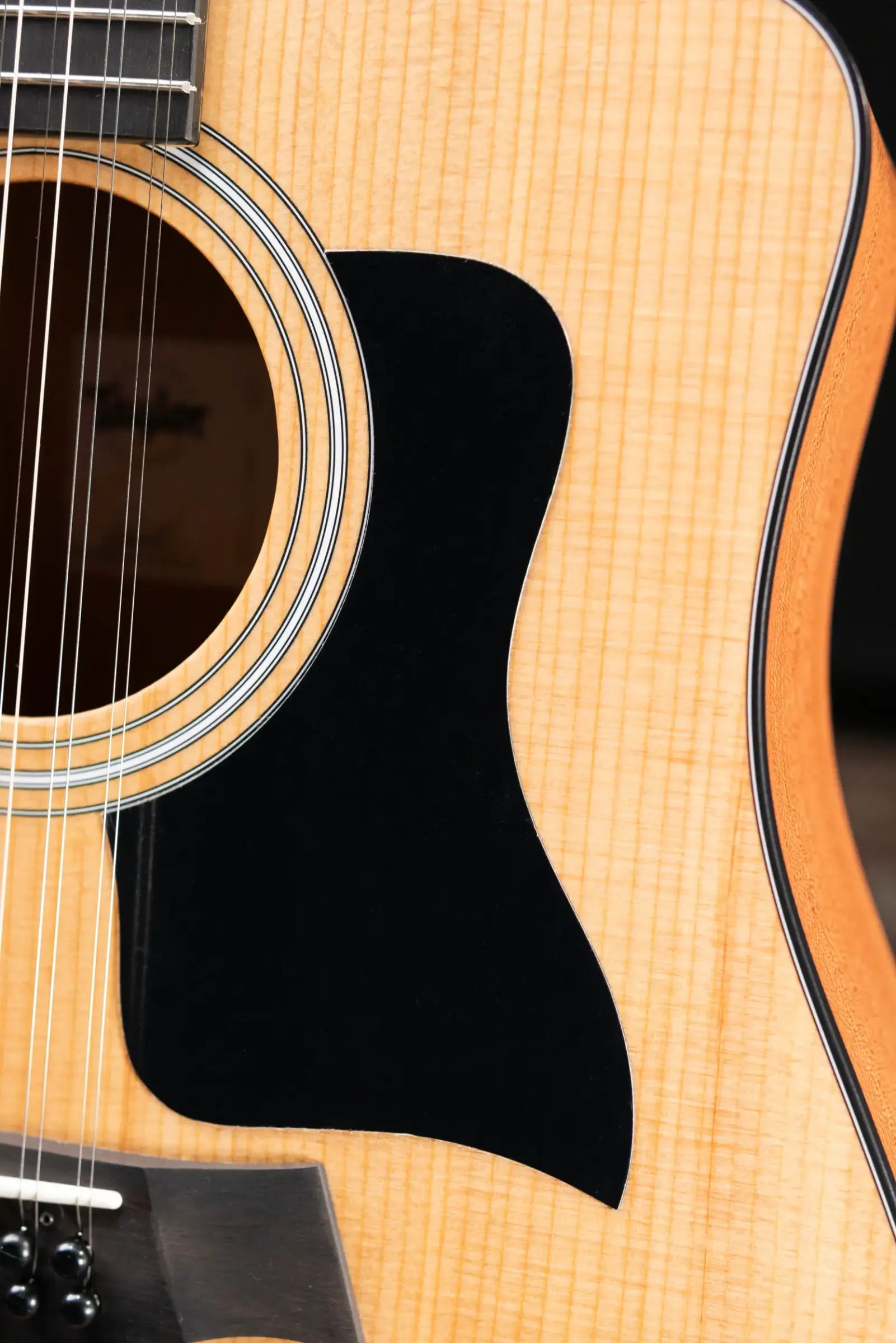 Taylor 150ce 12-String Dreadnought Acoustic/Electric Guitar with Gig Bag