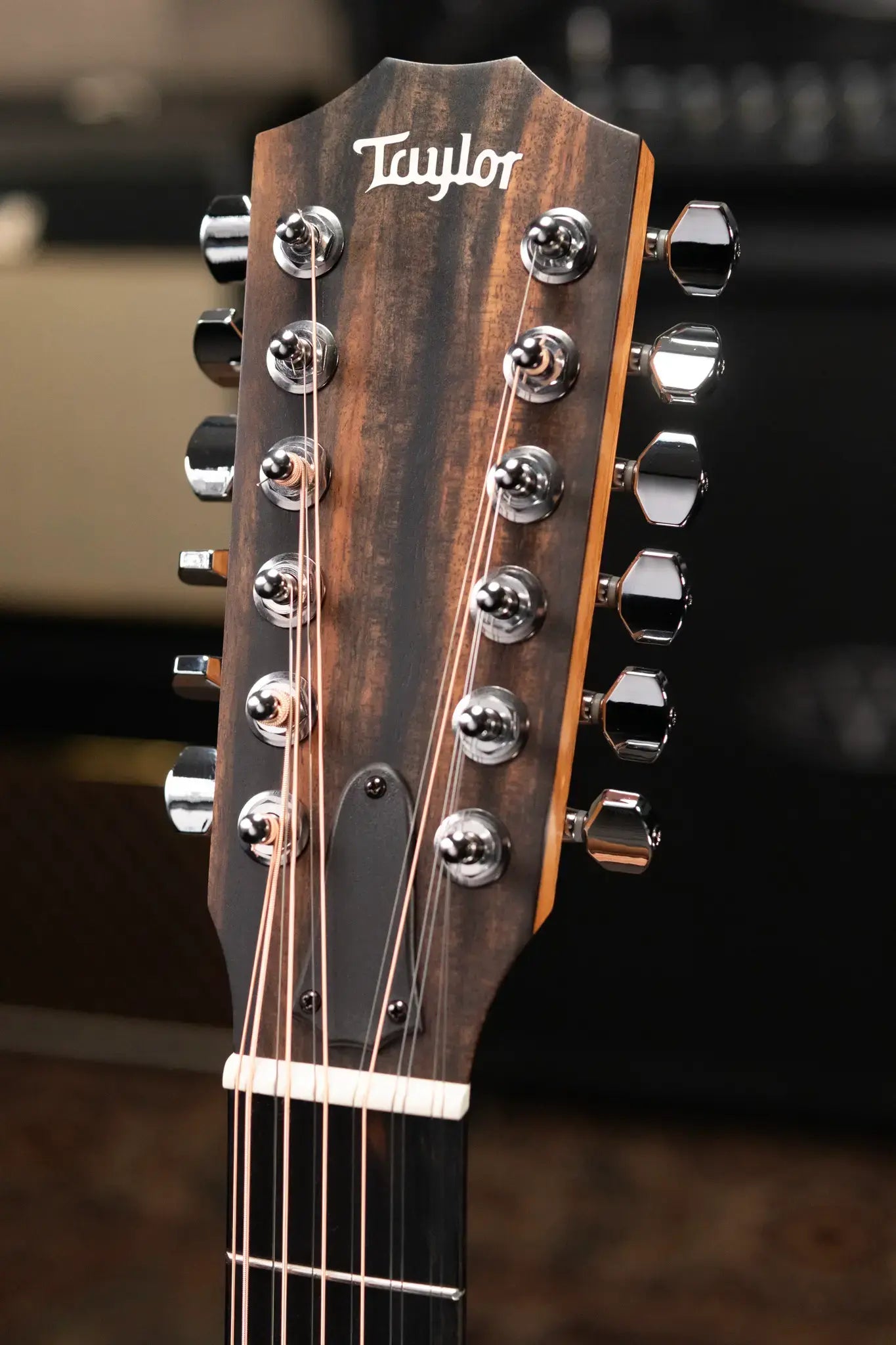 Taylor 150ce 12-String Dreadnought Acoustic/Electric with Gig Bag - Factory Demo