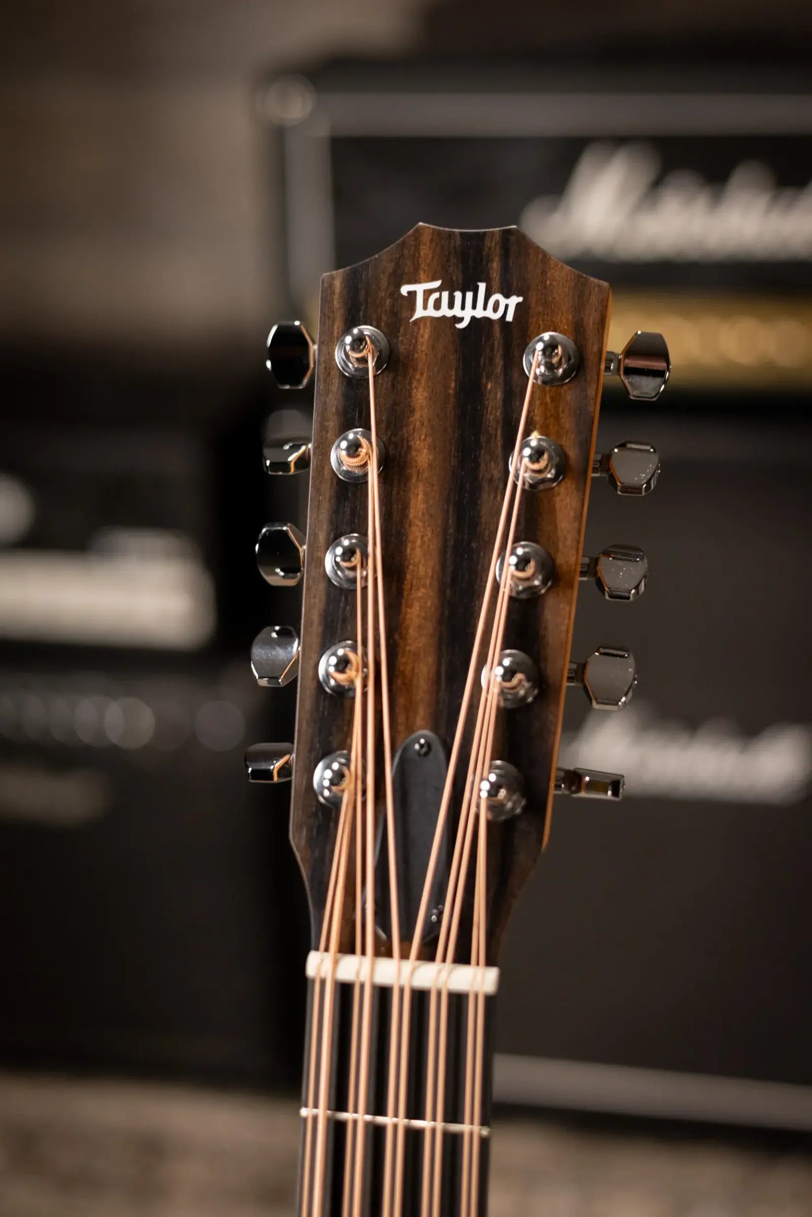 Taylor 150ce Bajo Quinto 12-String Acoustic/Electric Guitar - Sapele/Spruce with Gig Bag