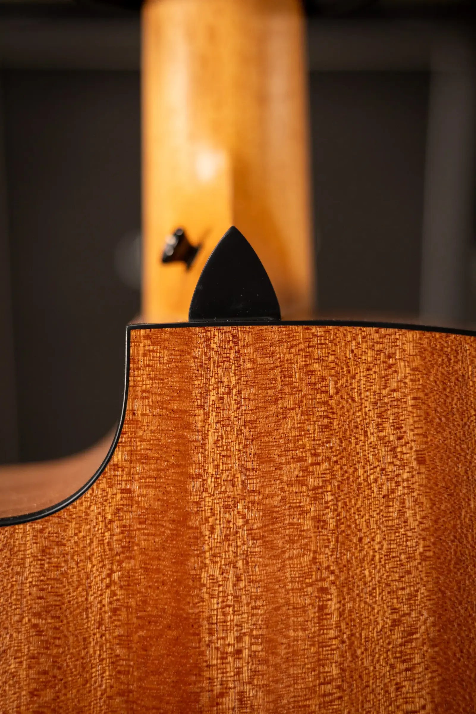 Taylor 150ce Bajo Quinto Acoustic/Electric Guitar - Sapele/Spruce with Gig Bag