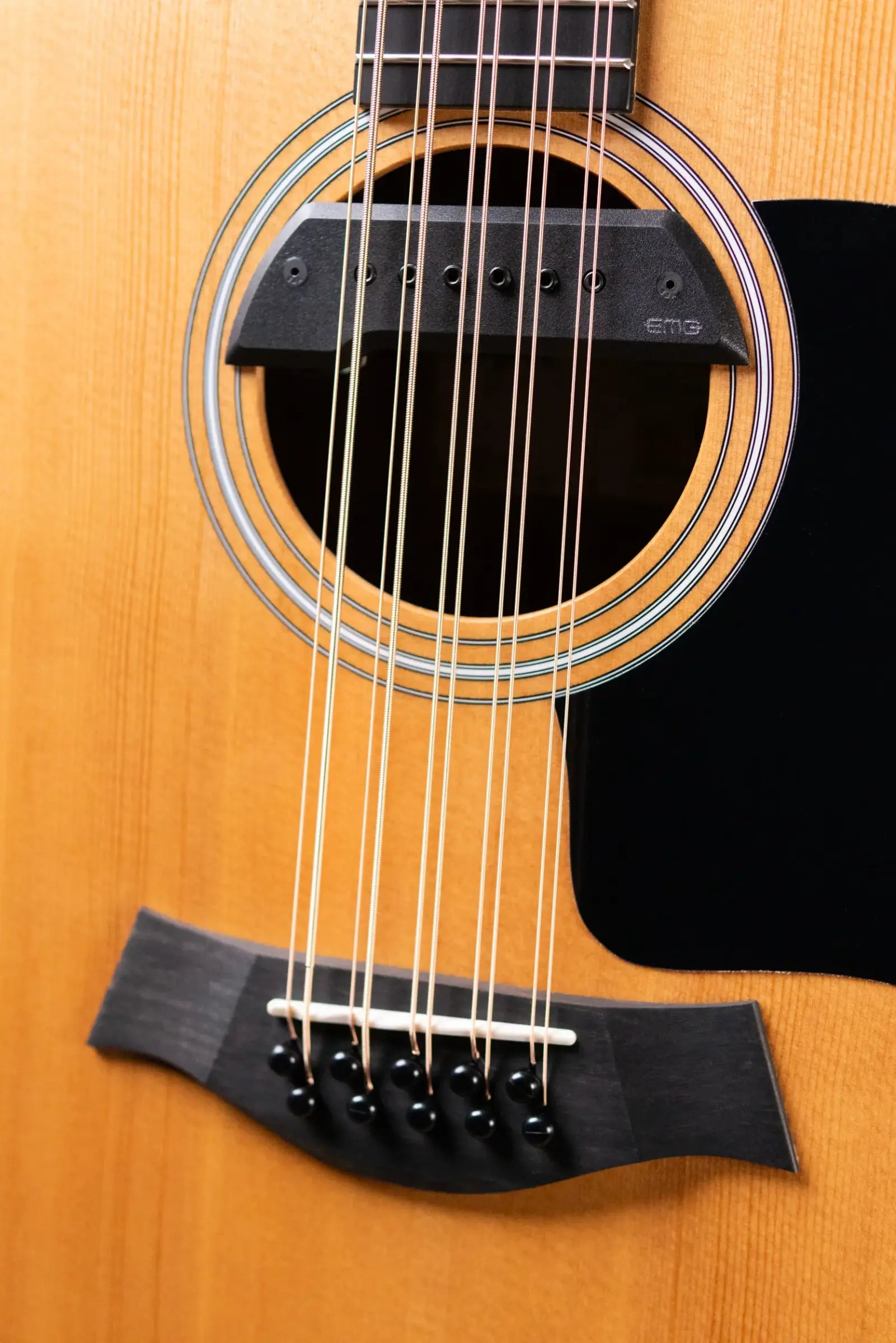 Taylor 150ce Bajo Quinto Acoustic/Electric Guitar with Gig Bag