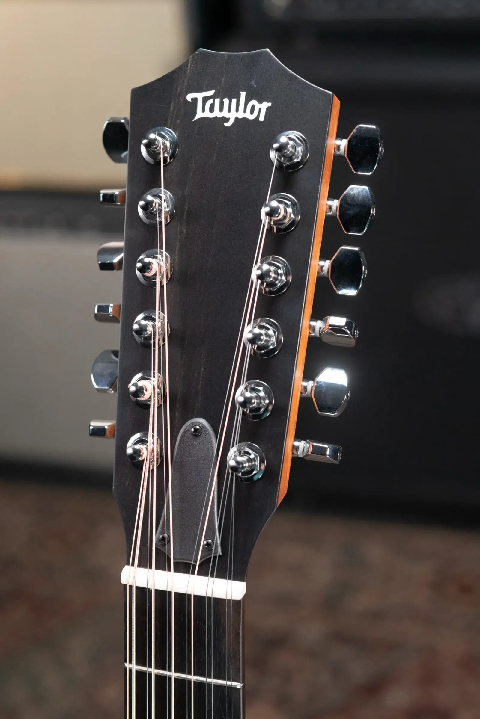Taylor 150ce Dreadnought 12-String Acoustic/Electric Guitar with Gig Bag