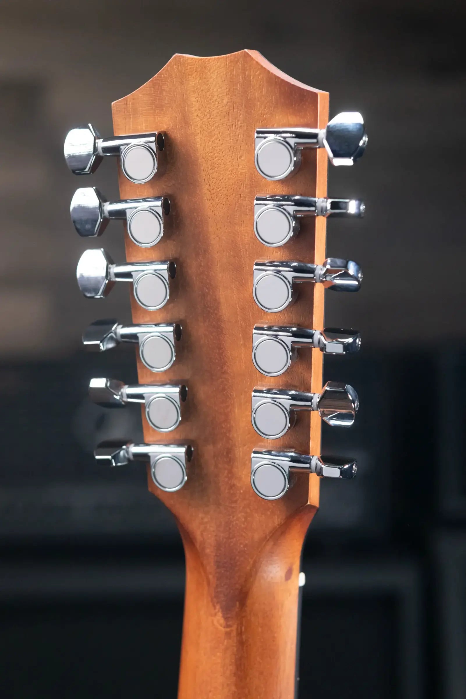 Taylor 150ce Dreadnought 12-String Acoustic/Electric Guitar with Gig Bag