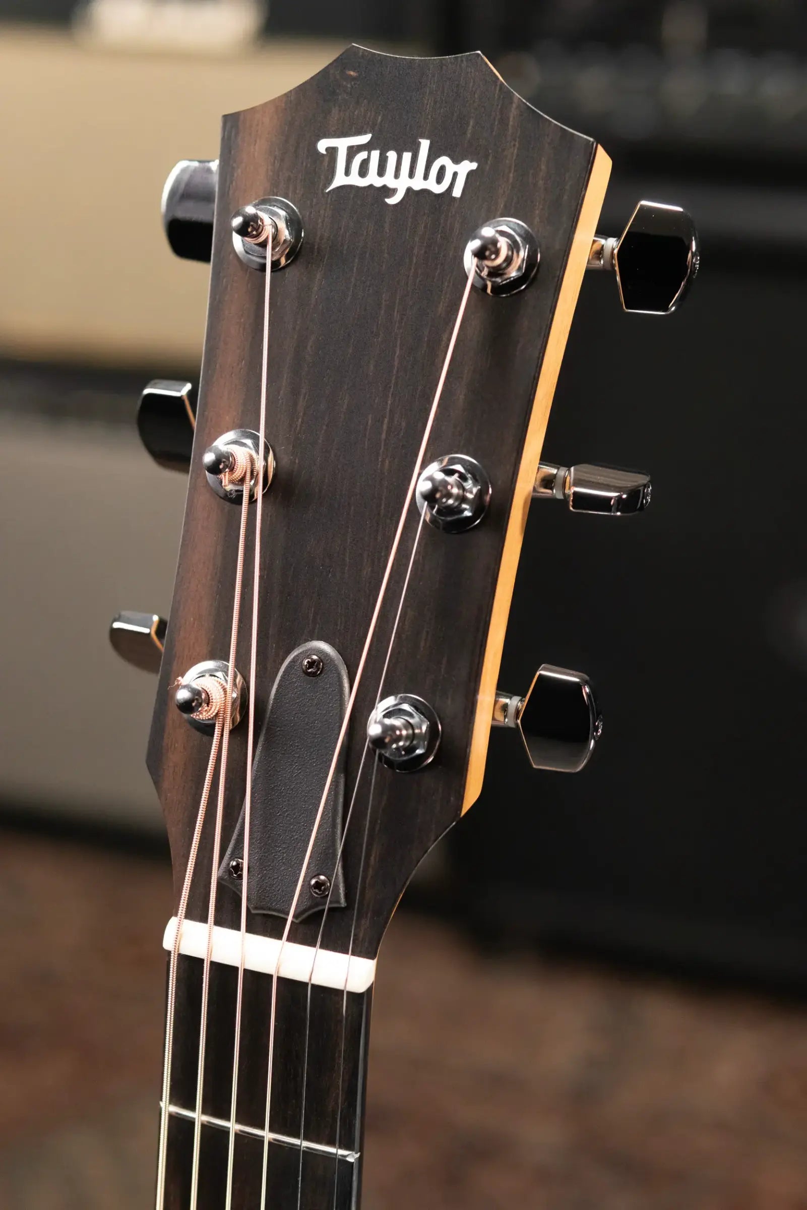 Taylor 210ce Dreadnought Acoustic/Electric Guitar with Gig Bag - Floor Demo