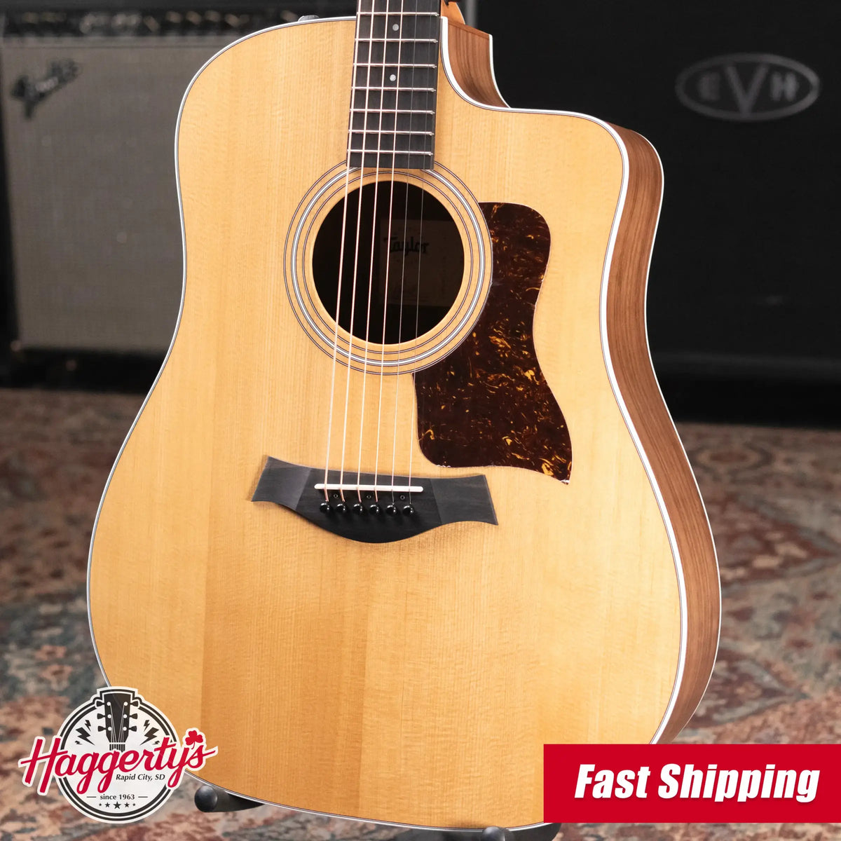 Taylor 210ce Dreadnought Acoustic/Electric Guitar with Gig Bag