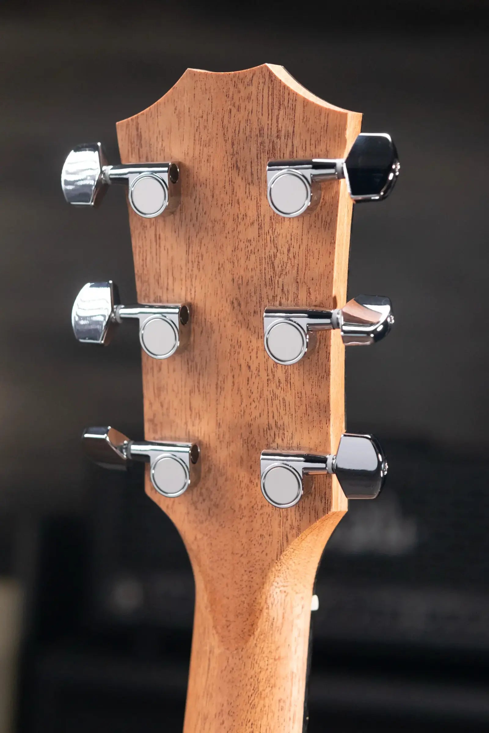 Taylor 210ce Dreadnought Acoustic/Electric Guitar with Gig Bag