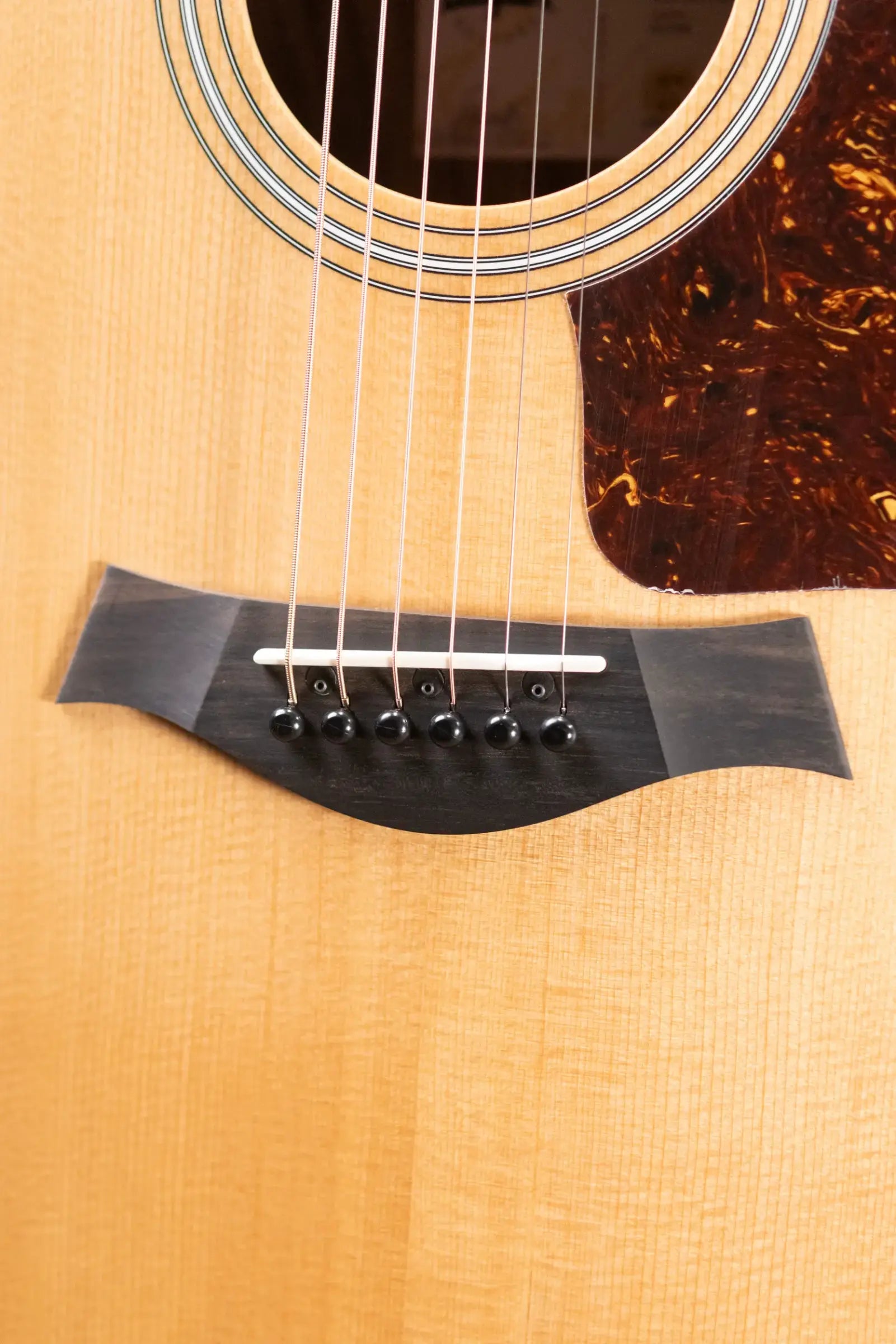 Taylor 210ce Dreadnought Acoustic/Electric Guitar with Gig Bag