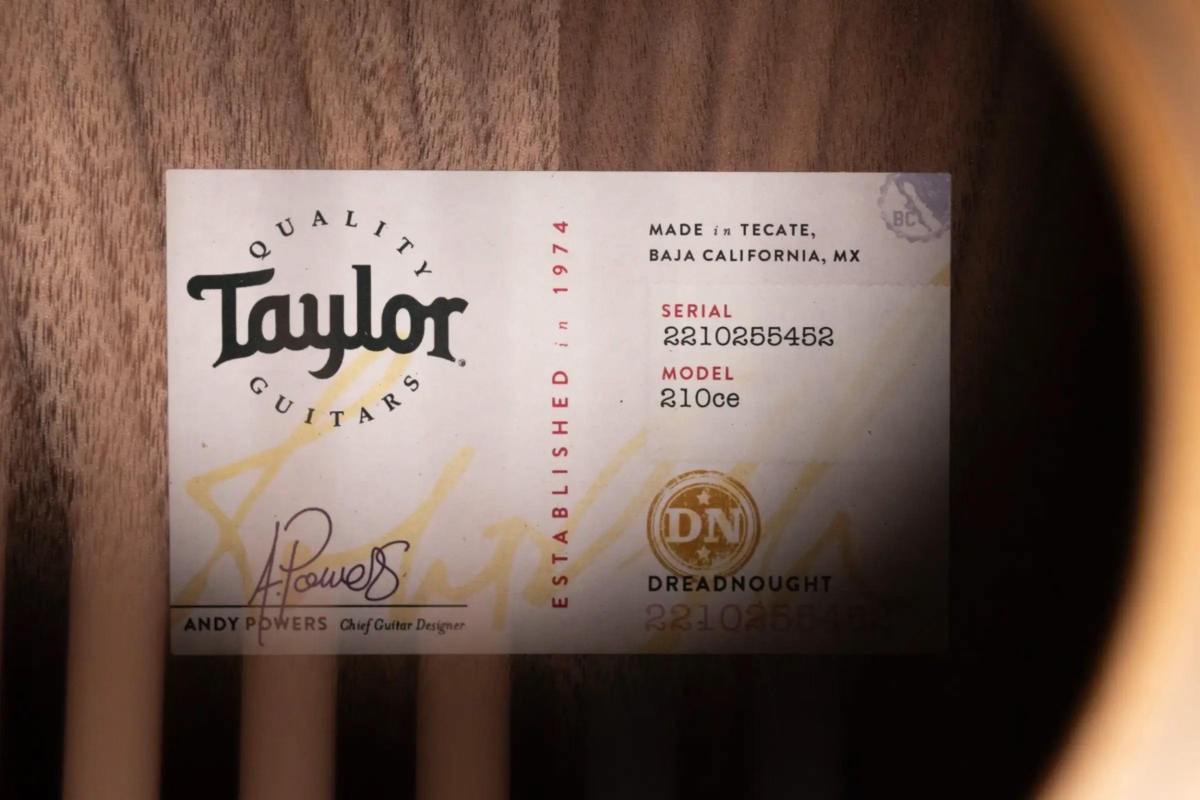 Taylor 210ce Dreadnought Acoustic/Electric Guitar with Gig Bag