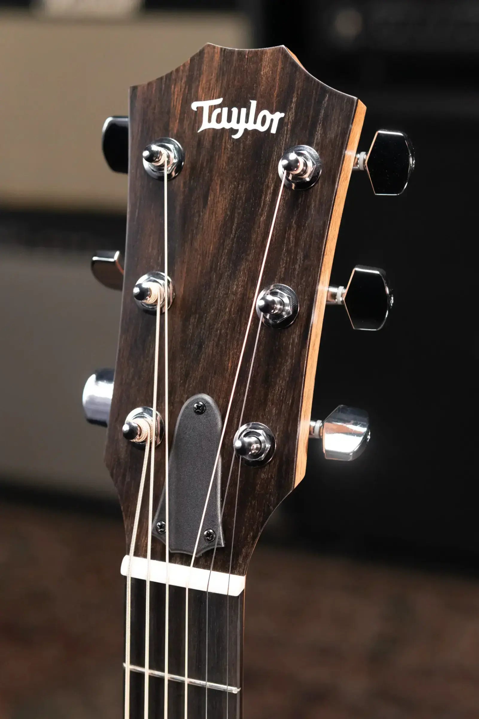 Taylor 210ce Dreadnought Acoustic/Electric Guitar with Gig Bag