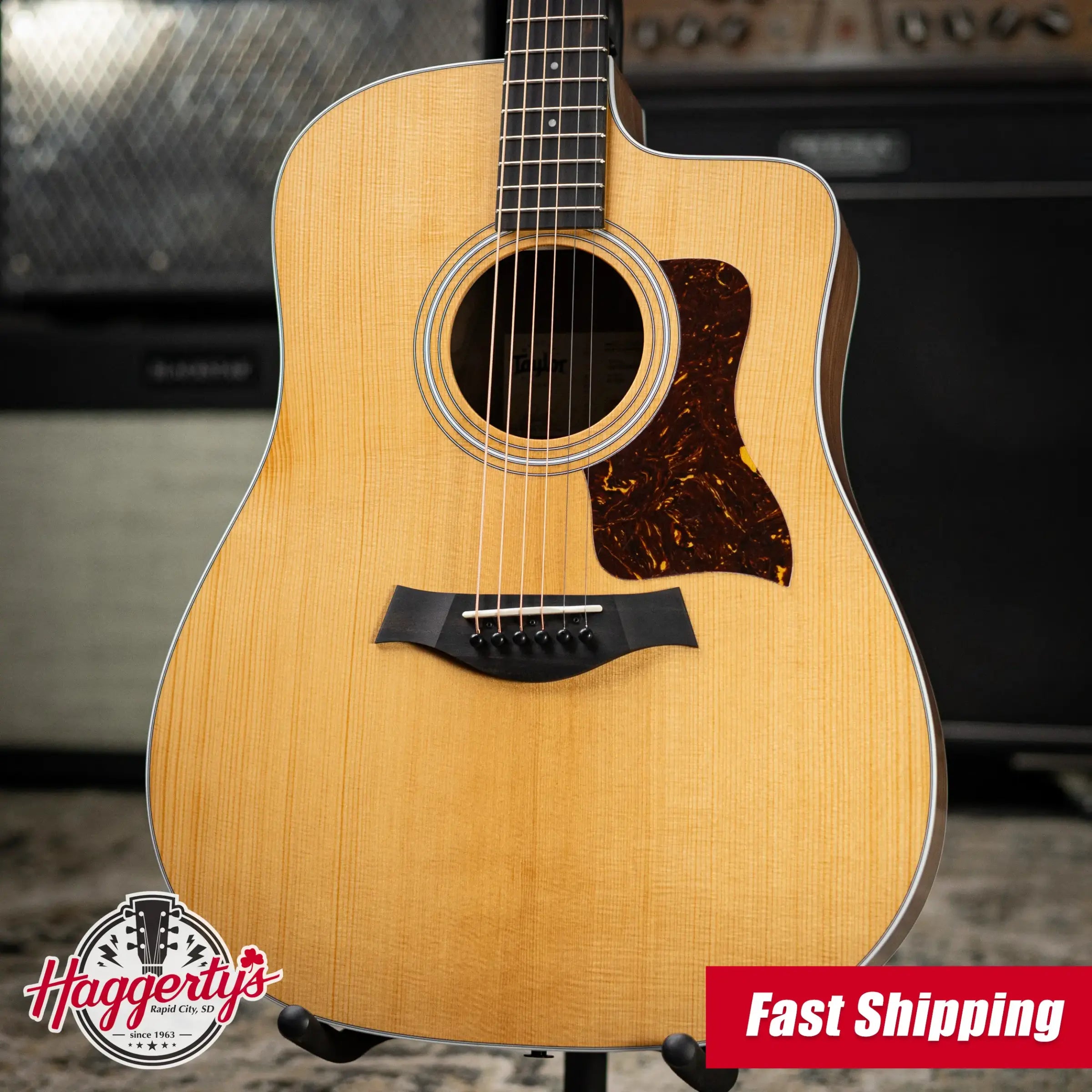 Taylor 210ce Dreadnought Acoustic/Electric Guitar with Gig Bag - Demo