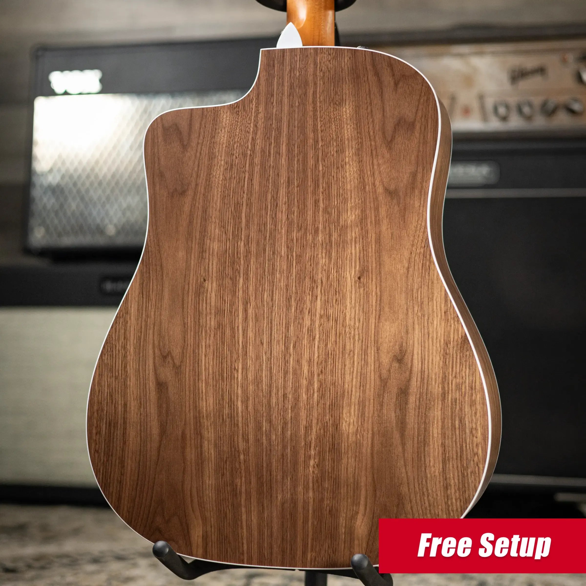Taylor 210ce Dreadnought Acoustic/Electric Guitar with Gig Bag - Demo