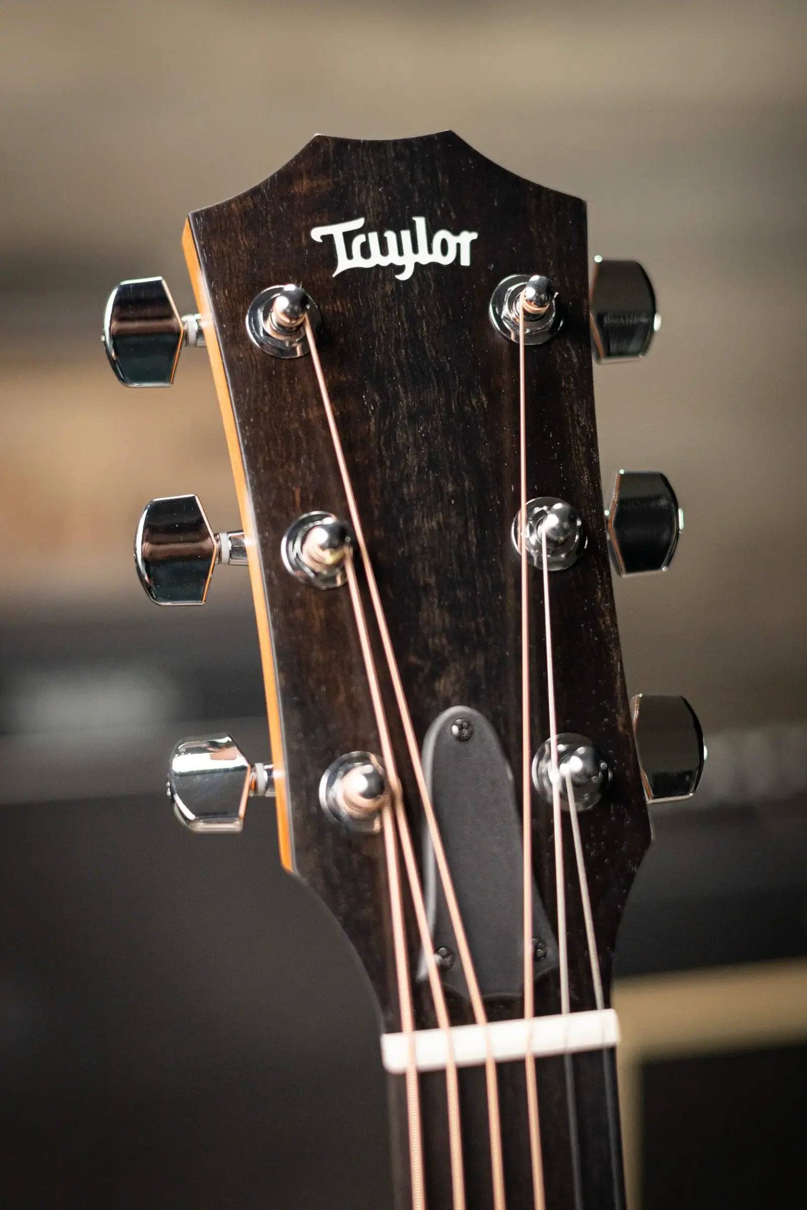 Taylor 210ce Dreadnought Acoustic/Electric Guitar with Gig Bag