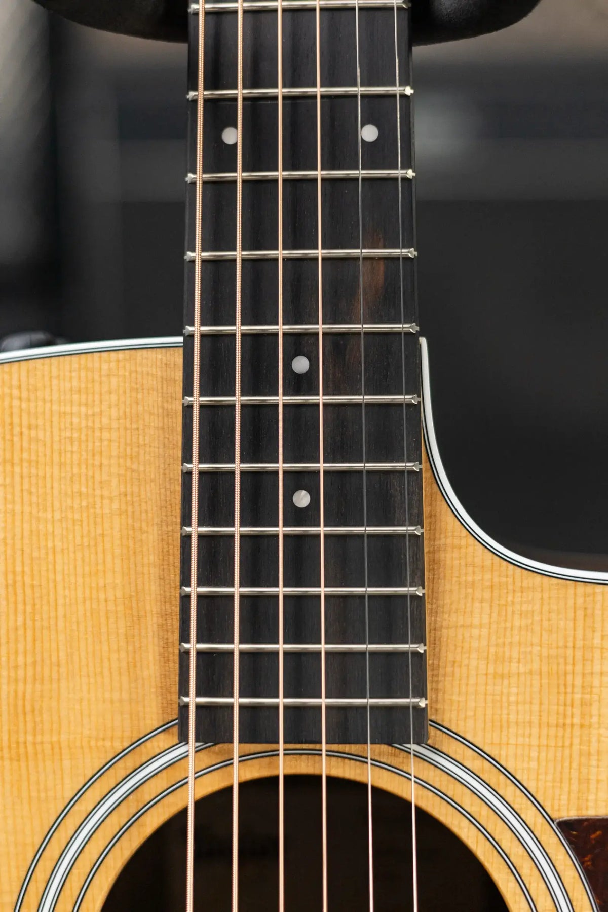 Taylor 210ce Dreadnought Acoustic/Electric Guitar with Gig Bag - Demo