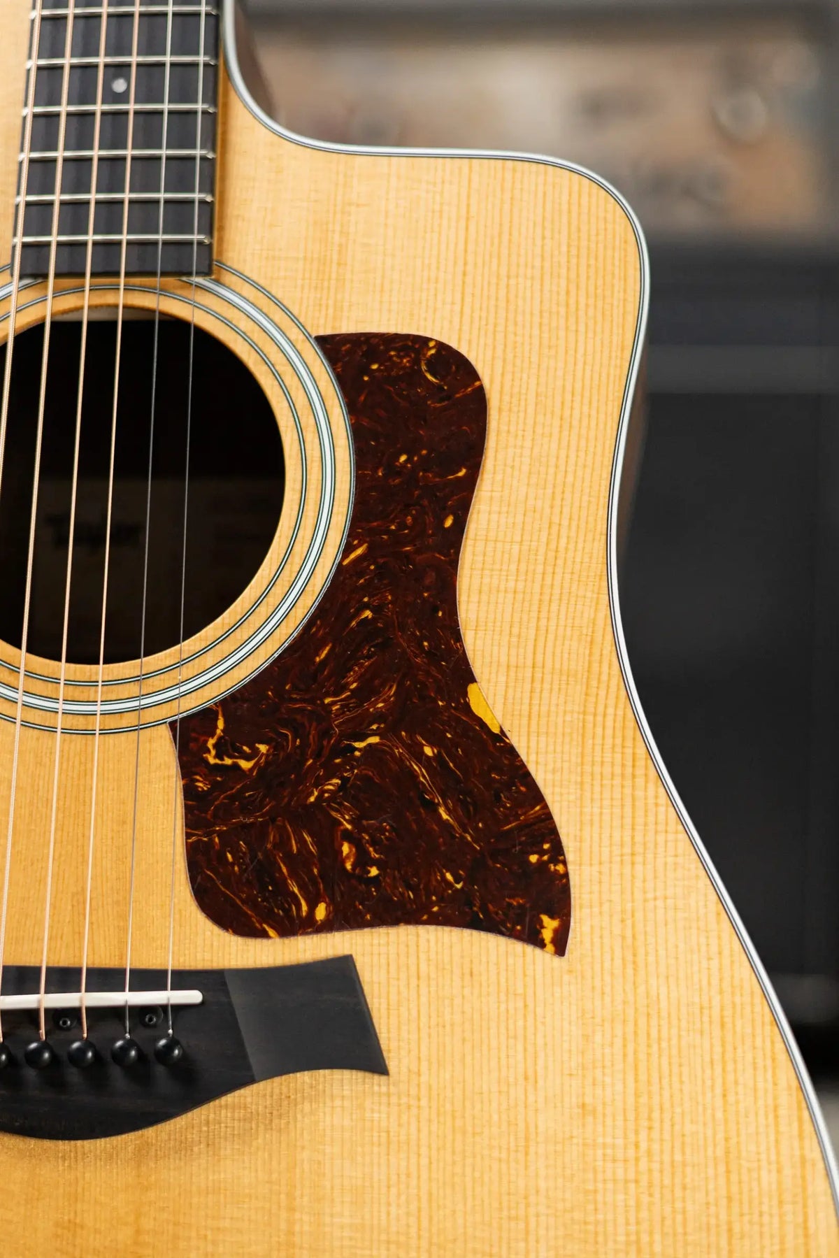 Taylor 210ce Dreadnought Acoustic/Electric Guitar with Gig Bag - Demo