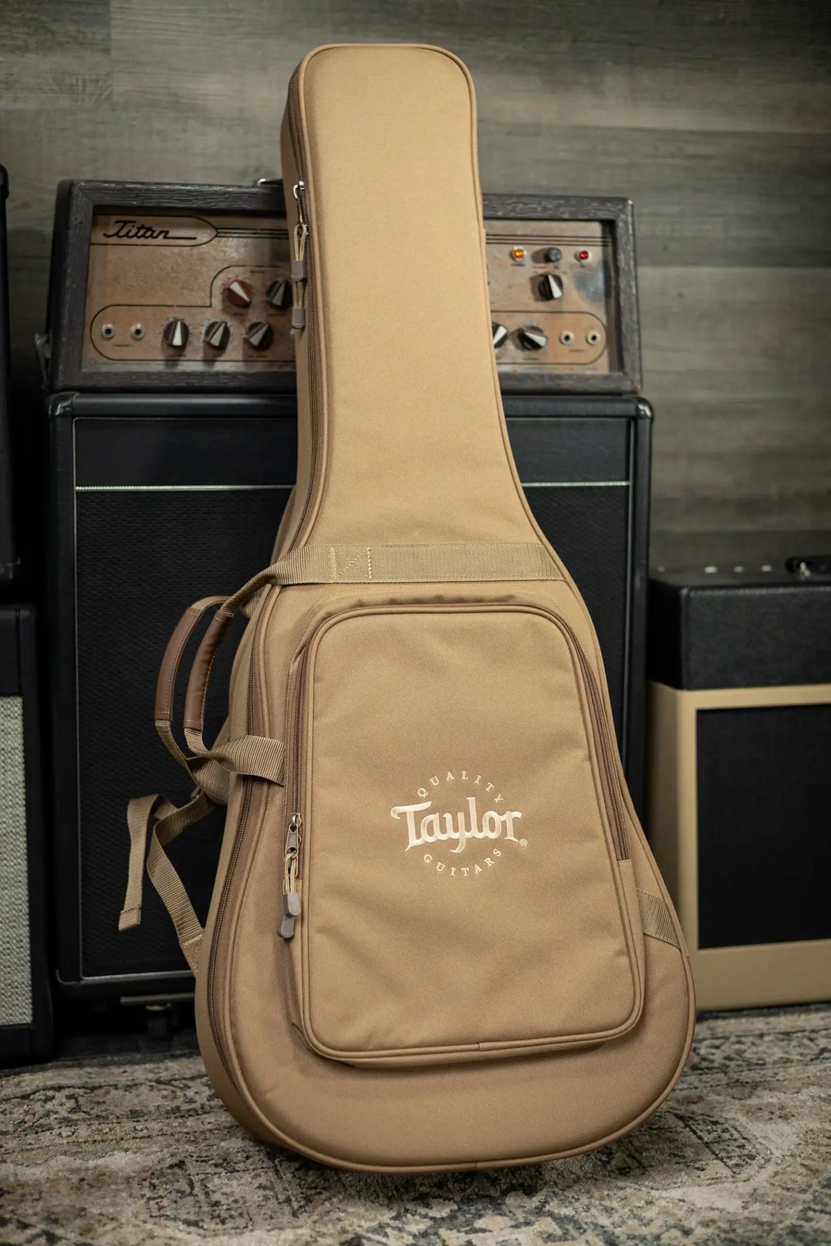 Taylor 210ce Dreadnought Acoustic/Electric Guitar with Gig Bag - Demo