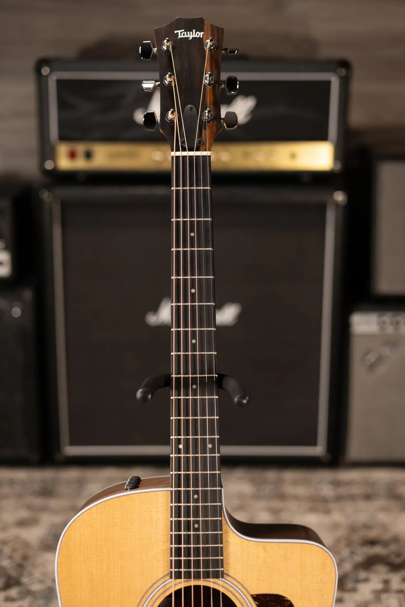 Taylor 210ce Dreadnought Acoustic/Electric Guitar with Gig Bag