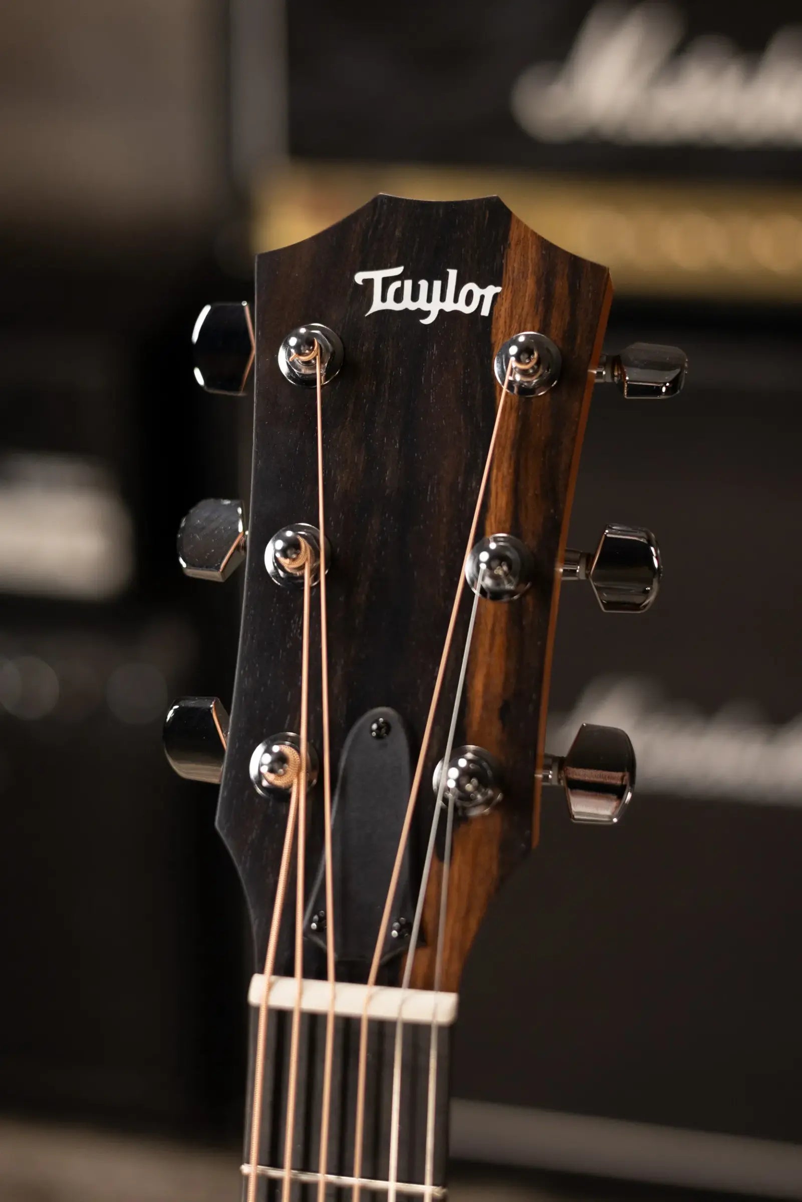 Taylor 210ce Dreadnought Acoustic/Electric Guitar with Gig Bag
