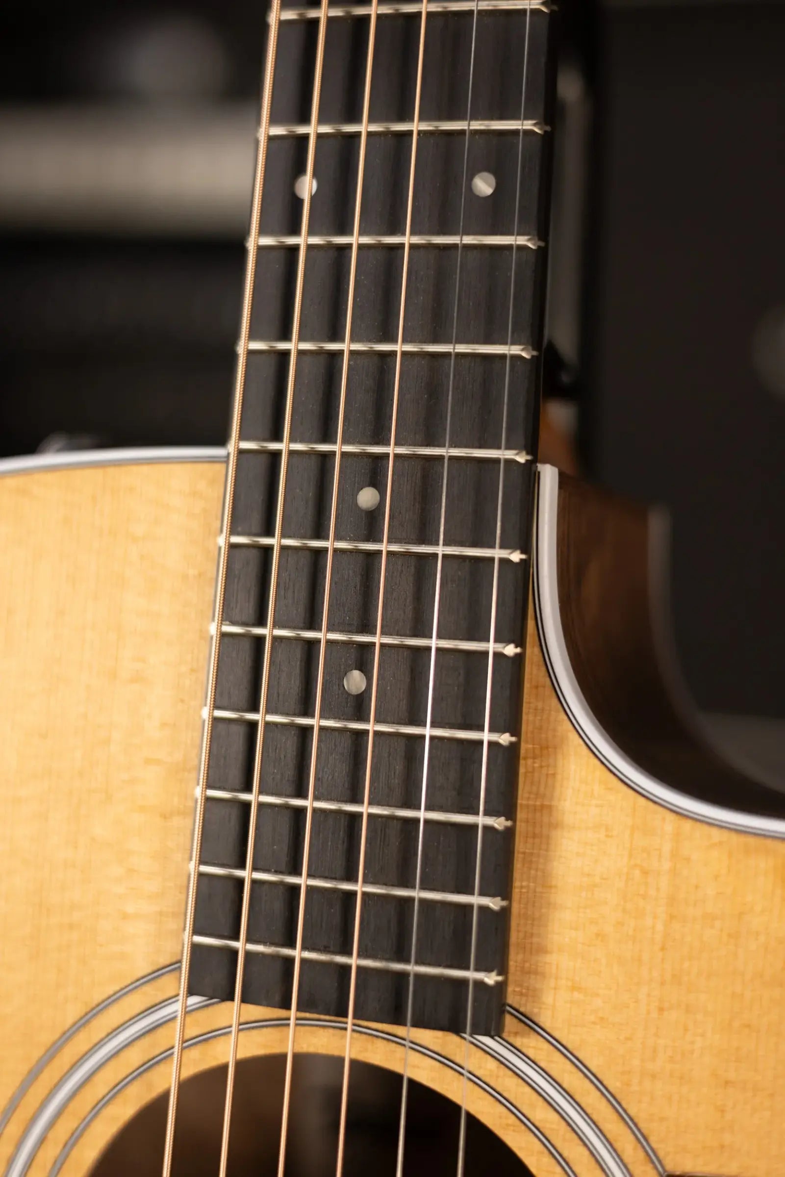 Taylor 210ce Dreadnought Acoustic/Electric Guitar with Gig Bag