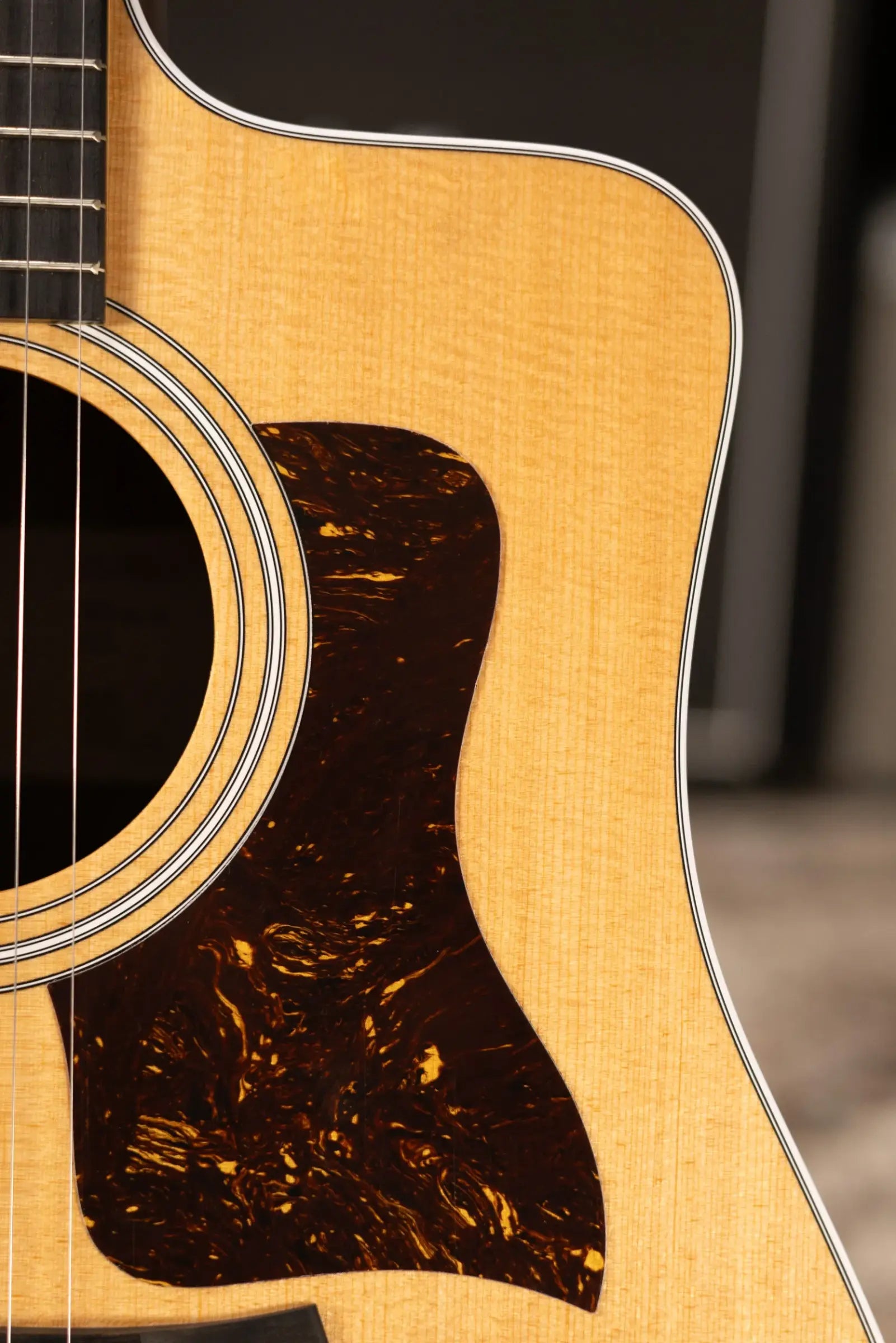 Taylor 210ce Dreadnought Acoustic/Electric Guitar with Gig Bag