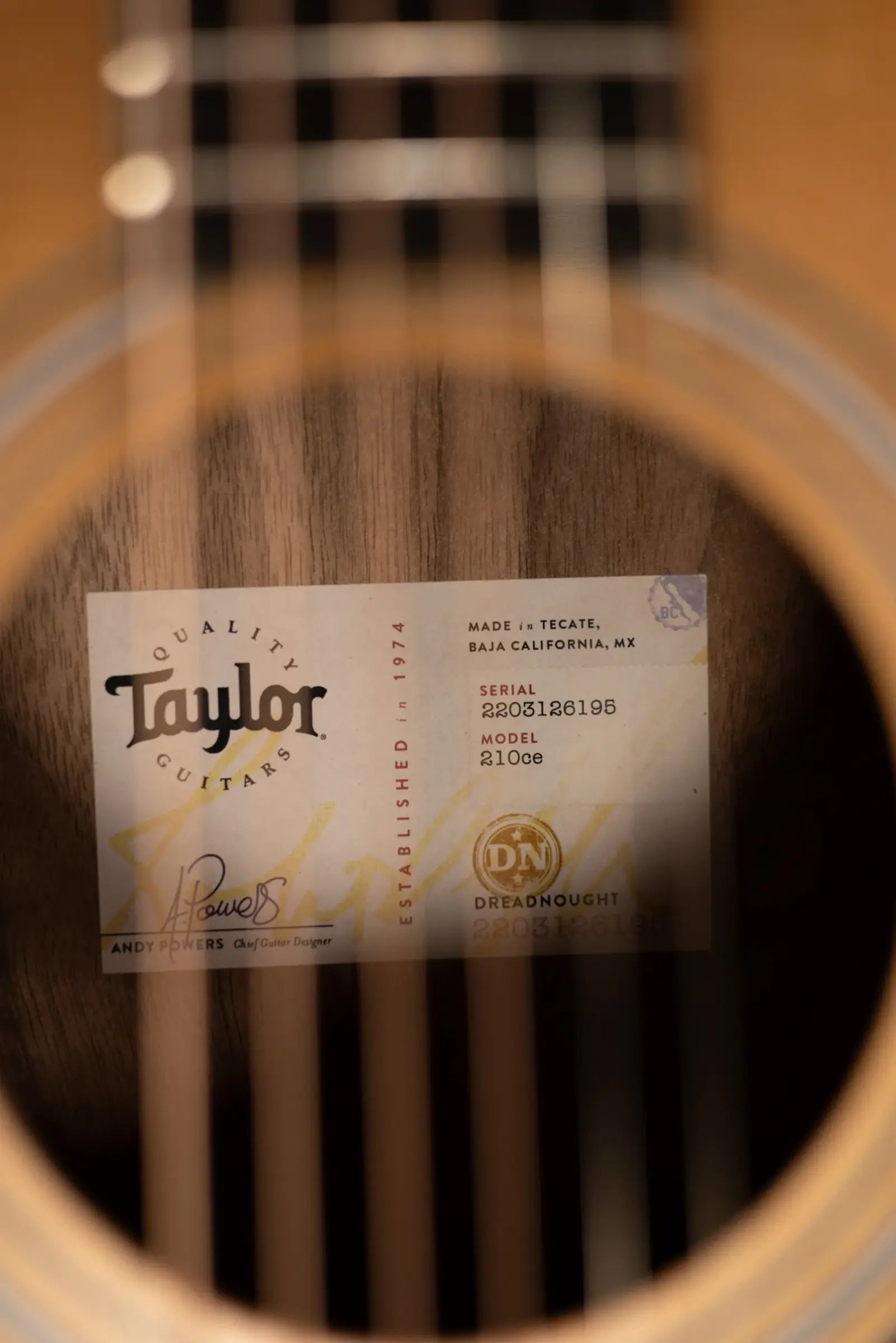 Taylor 210ce Dreadnought Acoustic/Electric Guitar with Gig Bag