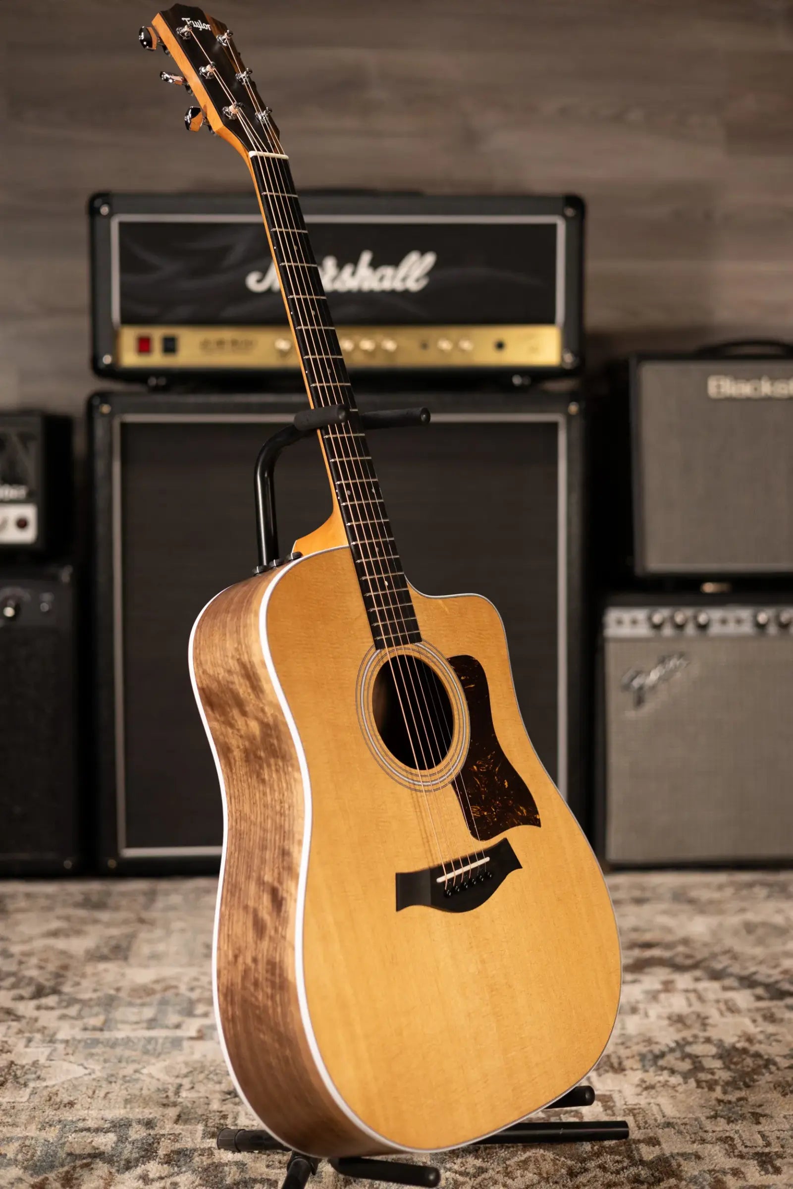 Taylor 210ce Dreadnought Acoustic/Electric Guitar with Gig Bag