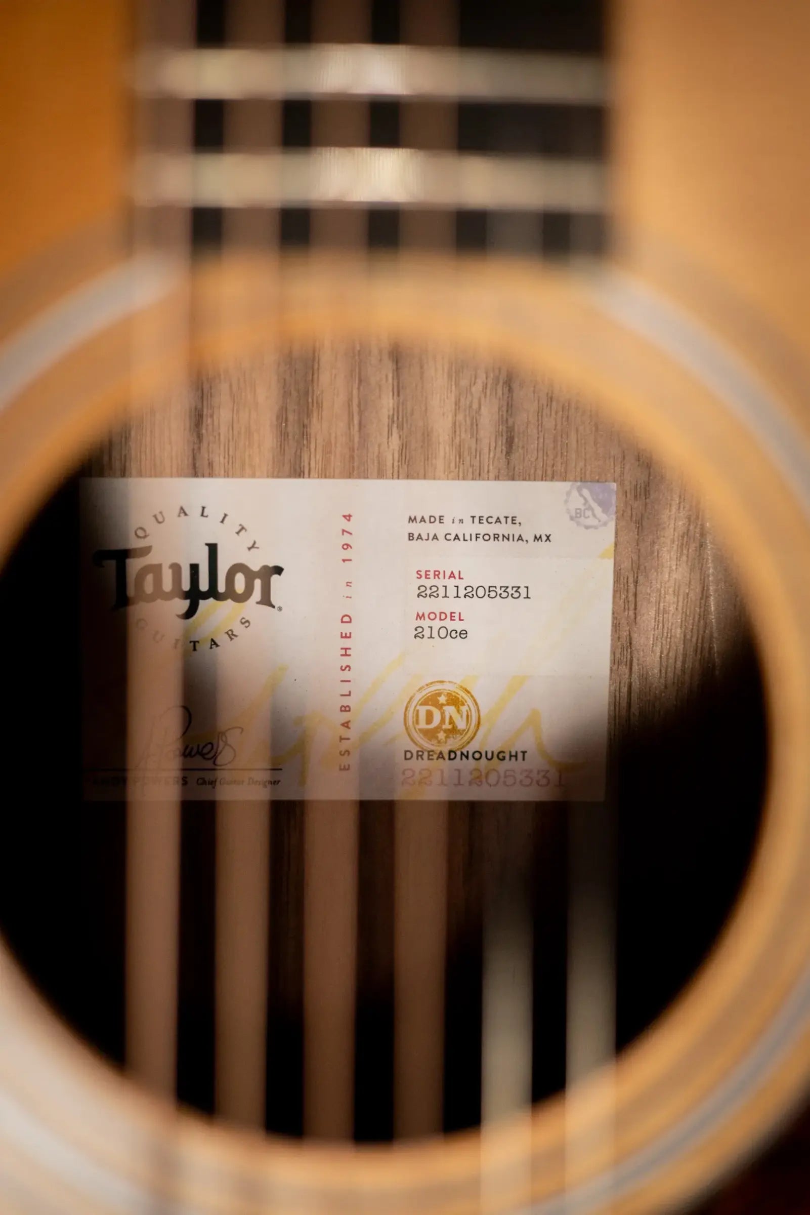 Taylor 210ce Dreadnought Acoustic/Electric Guitar with Gig Bag