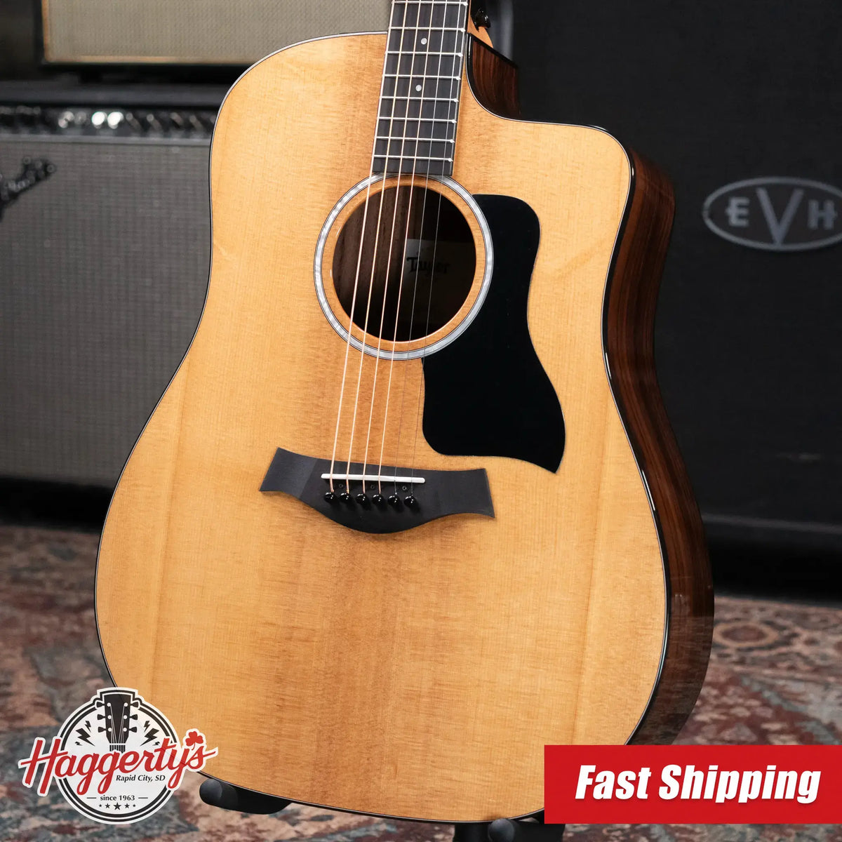 Taylor 210ce Plus Dreadnought Acoustic/Electric Guitar with AeroCase