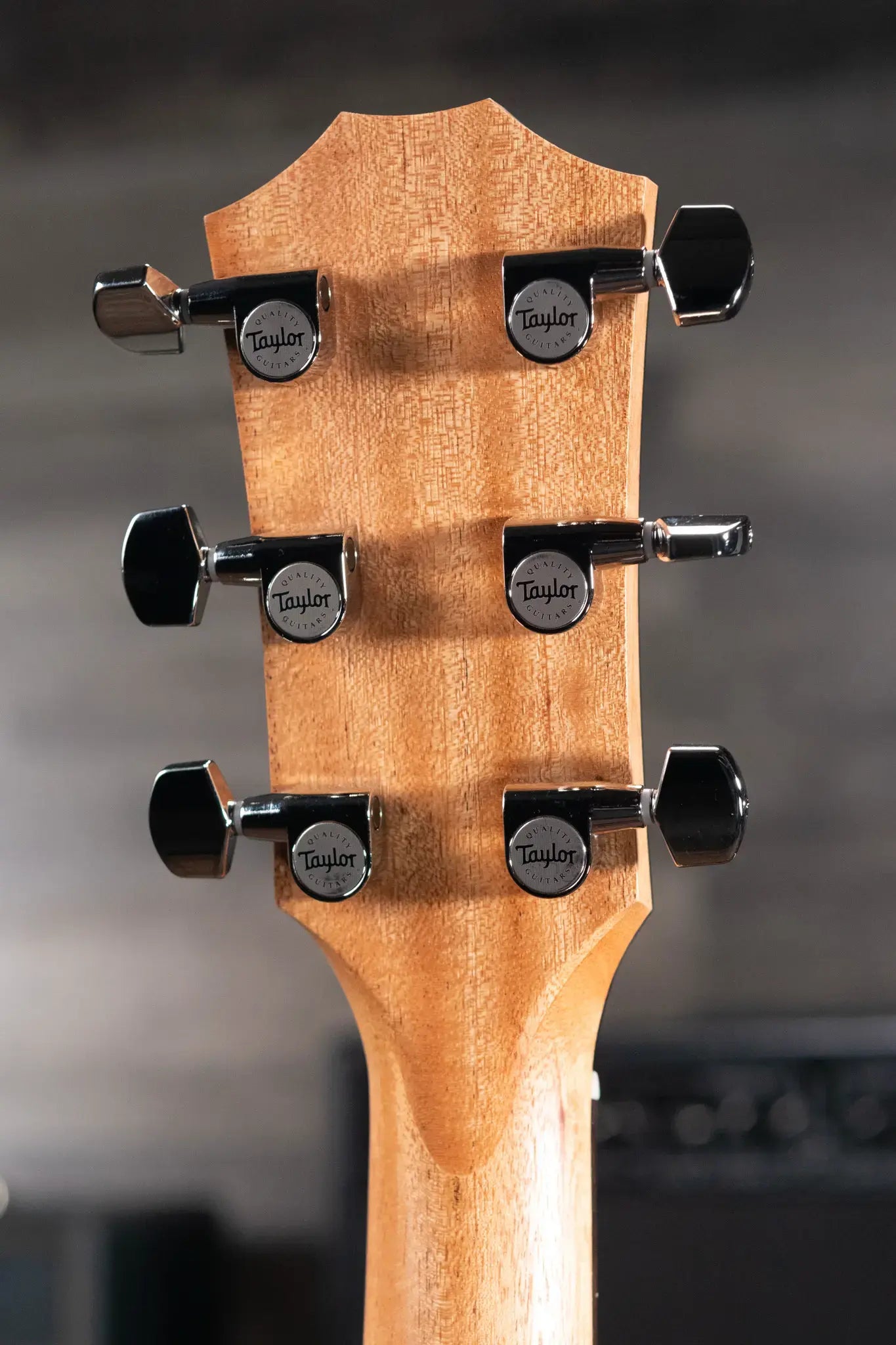 Taylor 210ce Plus Dreadnought Acoustic/Electric Guitar with AeroCase