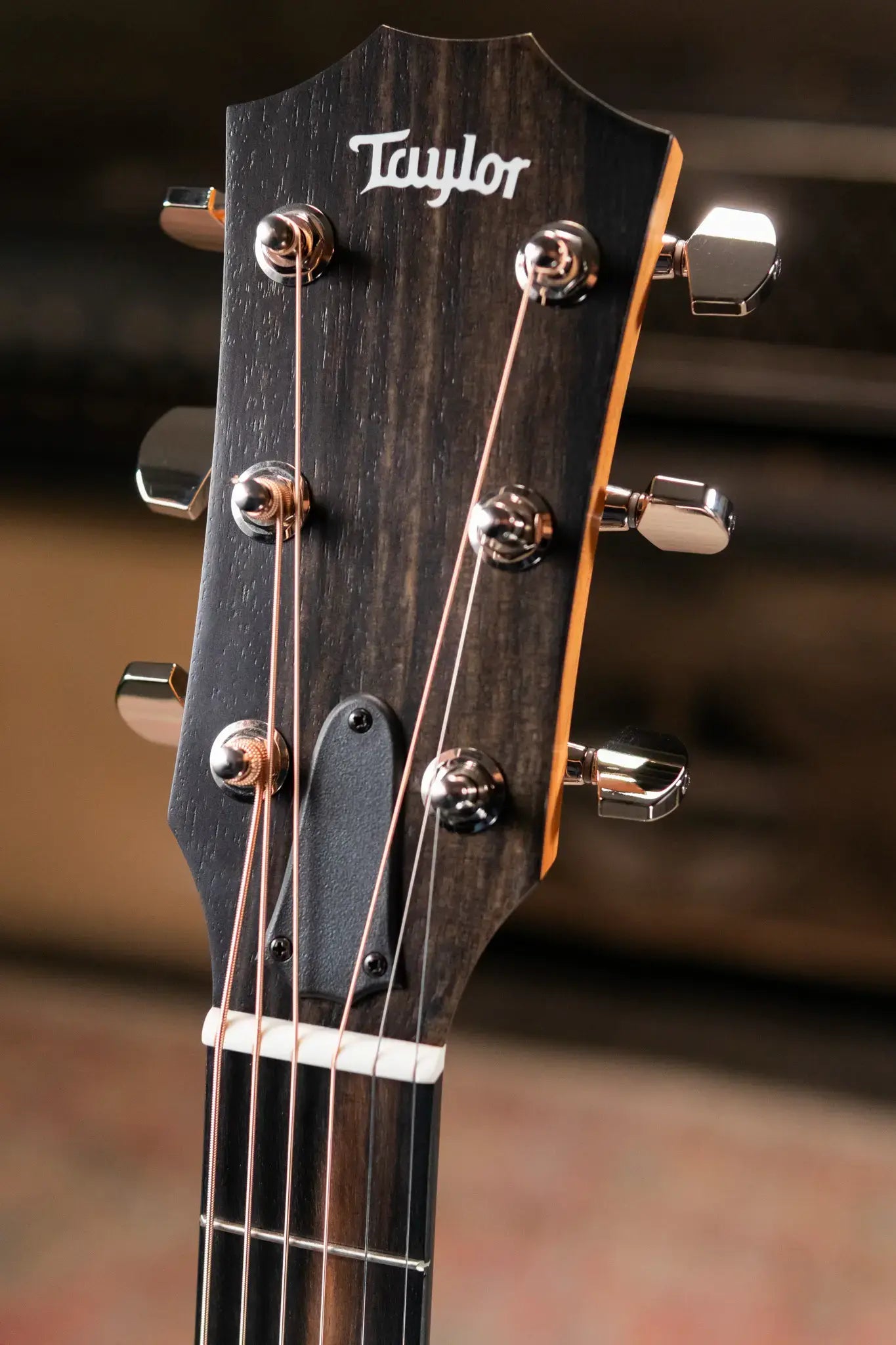 Taylor 210ce Plus Dreadnought Acoustic/Electric Guitar with Aerocase - Factory Demo