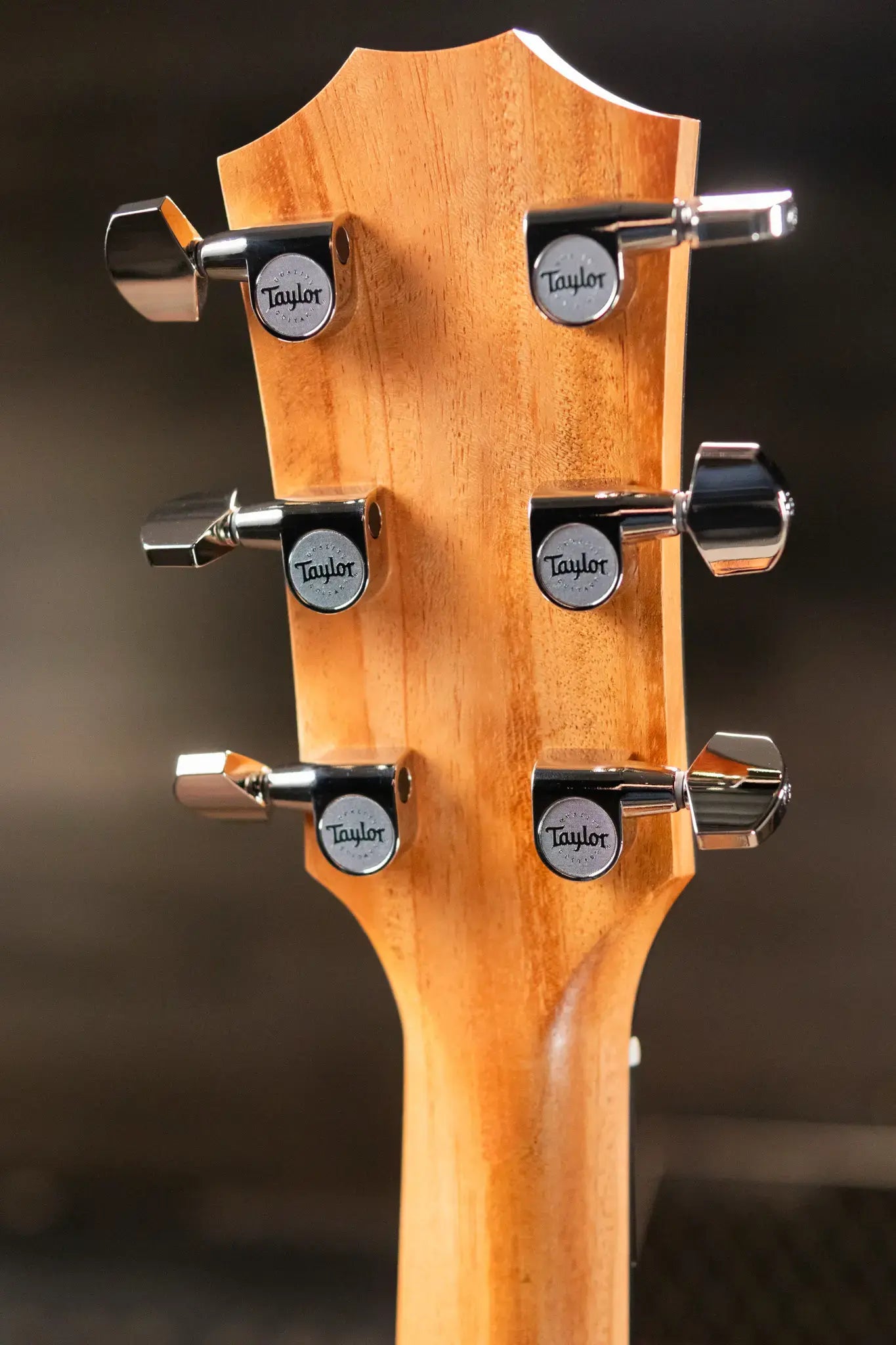 Taylor 210ce Plus Dreadnought Acoustic/Electric Guitar with Aerocase - Factory Demo