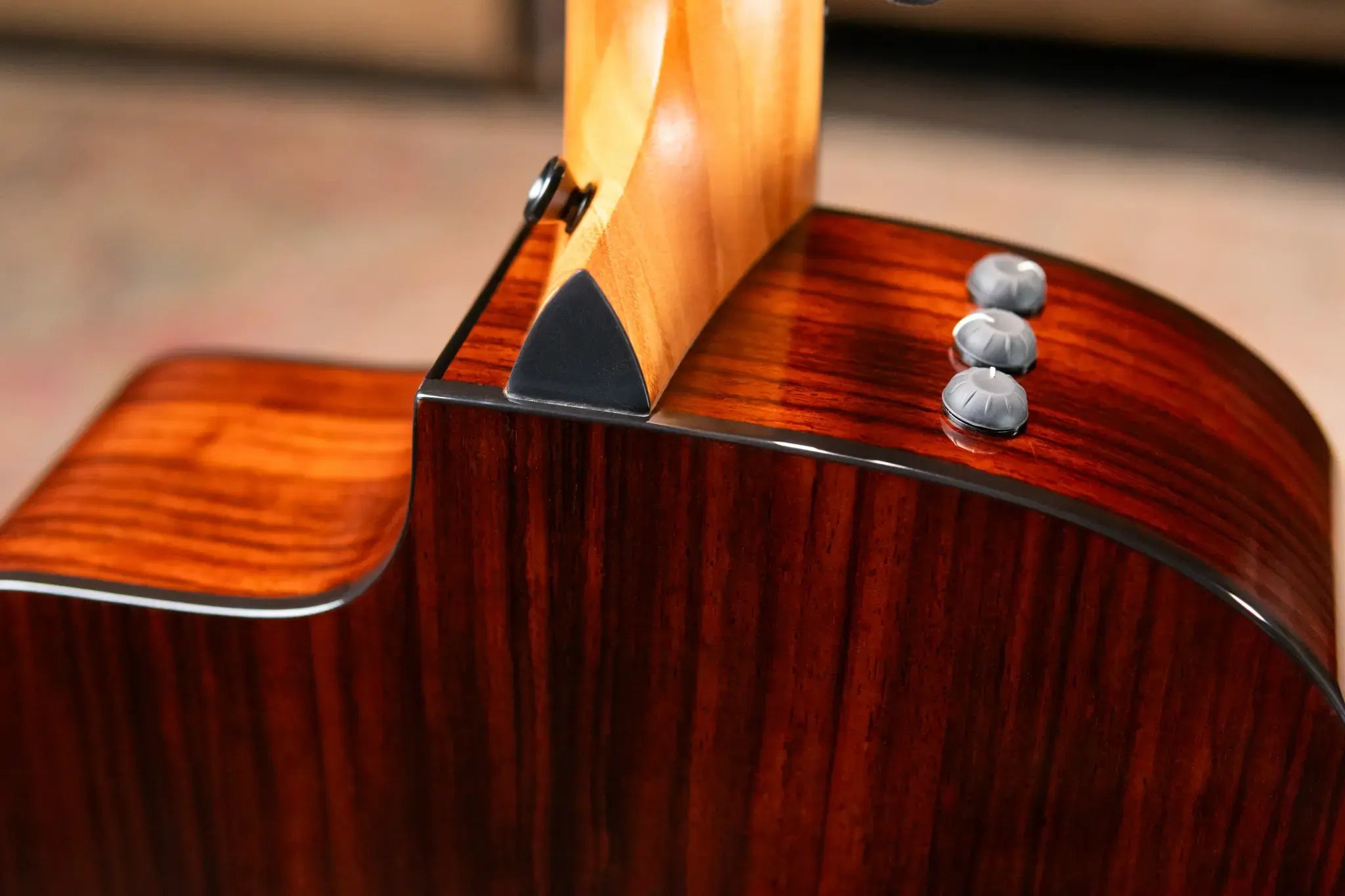 Taylor 210ce Plus Dreadnought Acoustic/Electric Guitar with Aerocase - Factory Demo