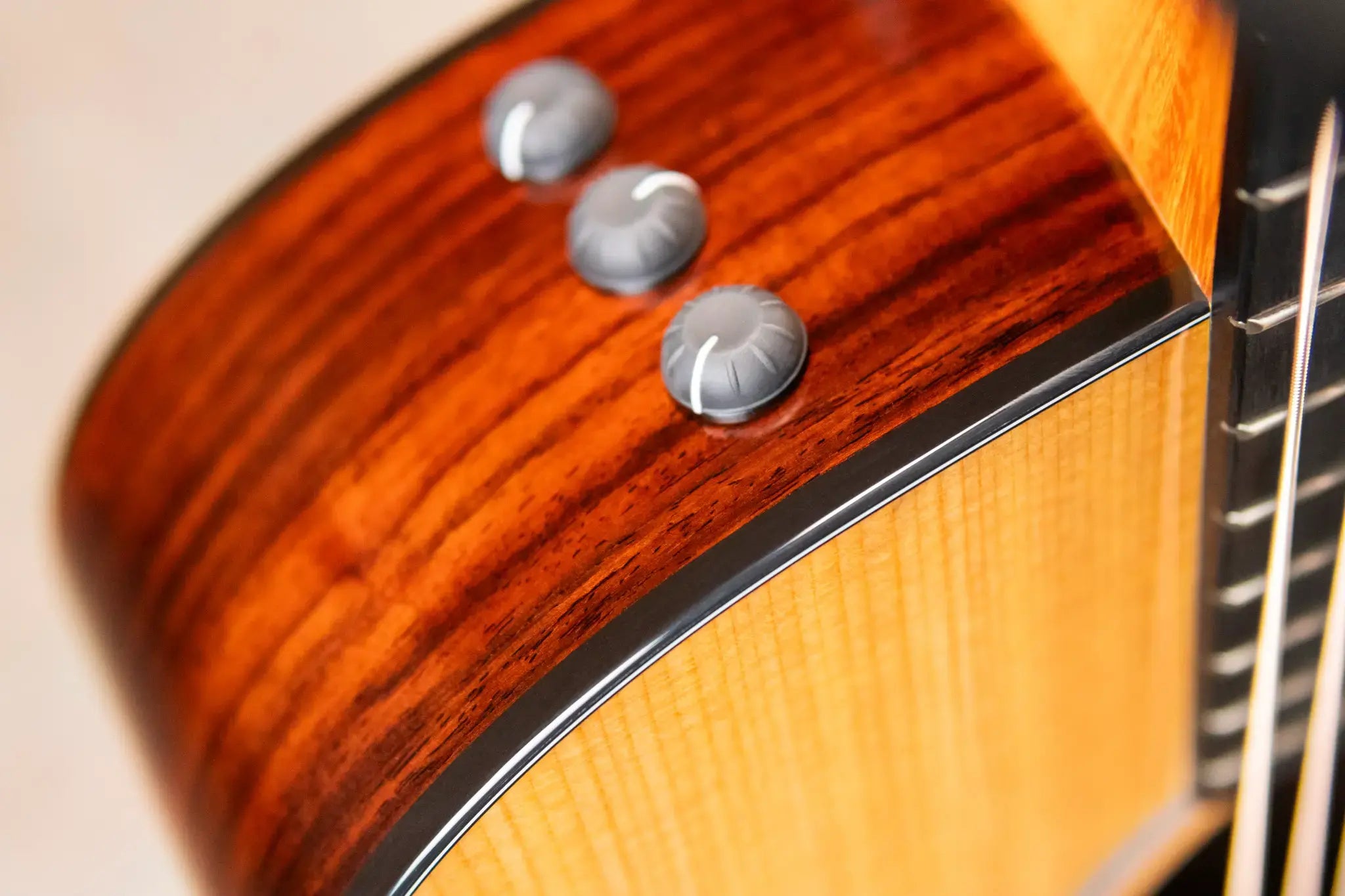 Taylor 210ce Plus Dreadnought Acoustic/Electric Guitar with Aerocase - Factory Demo