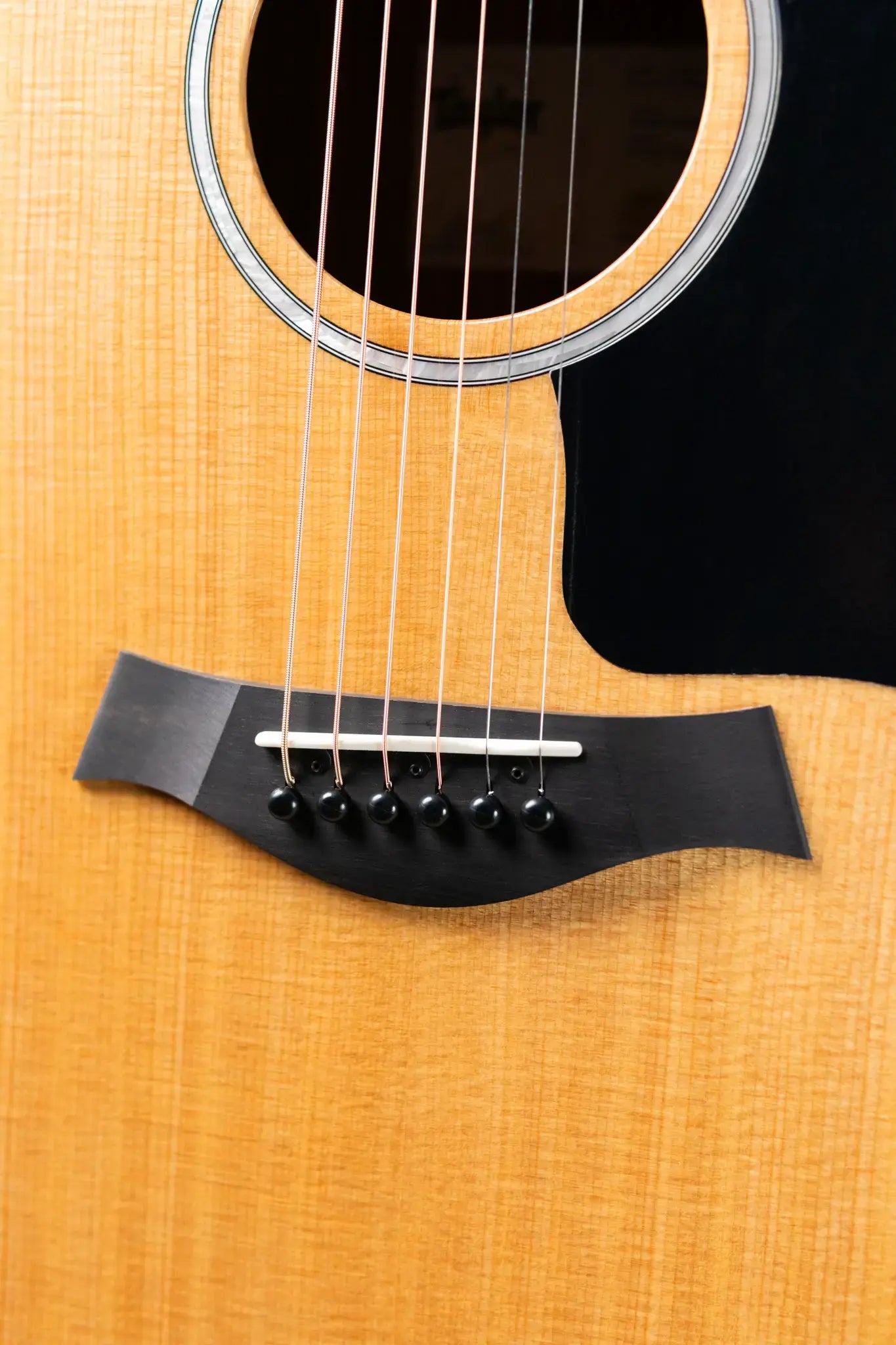 Taylor 210ce Plus Dreadnought Acoustic/Electric Guitar with Aerocase - Factory Demo