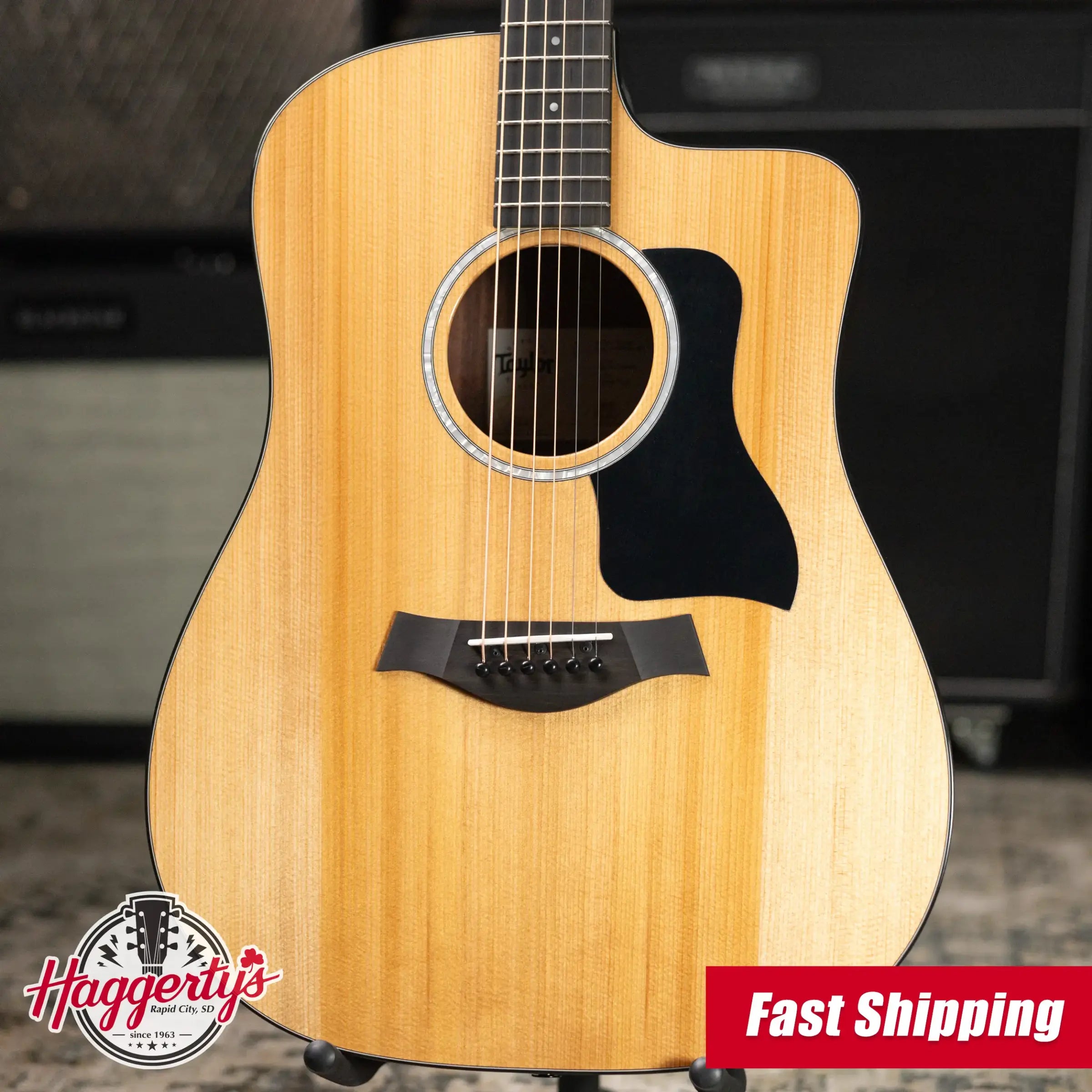 Taylor 210ce Plus Dreadnought Acoustic/Electric Guitar with Aerocase - Factory Demo