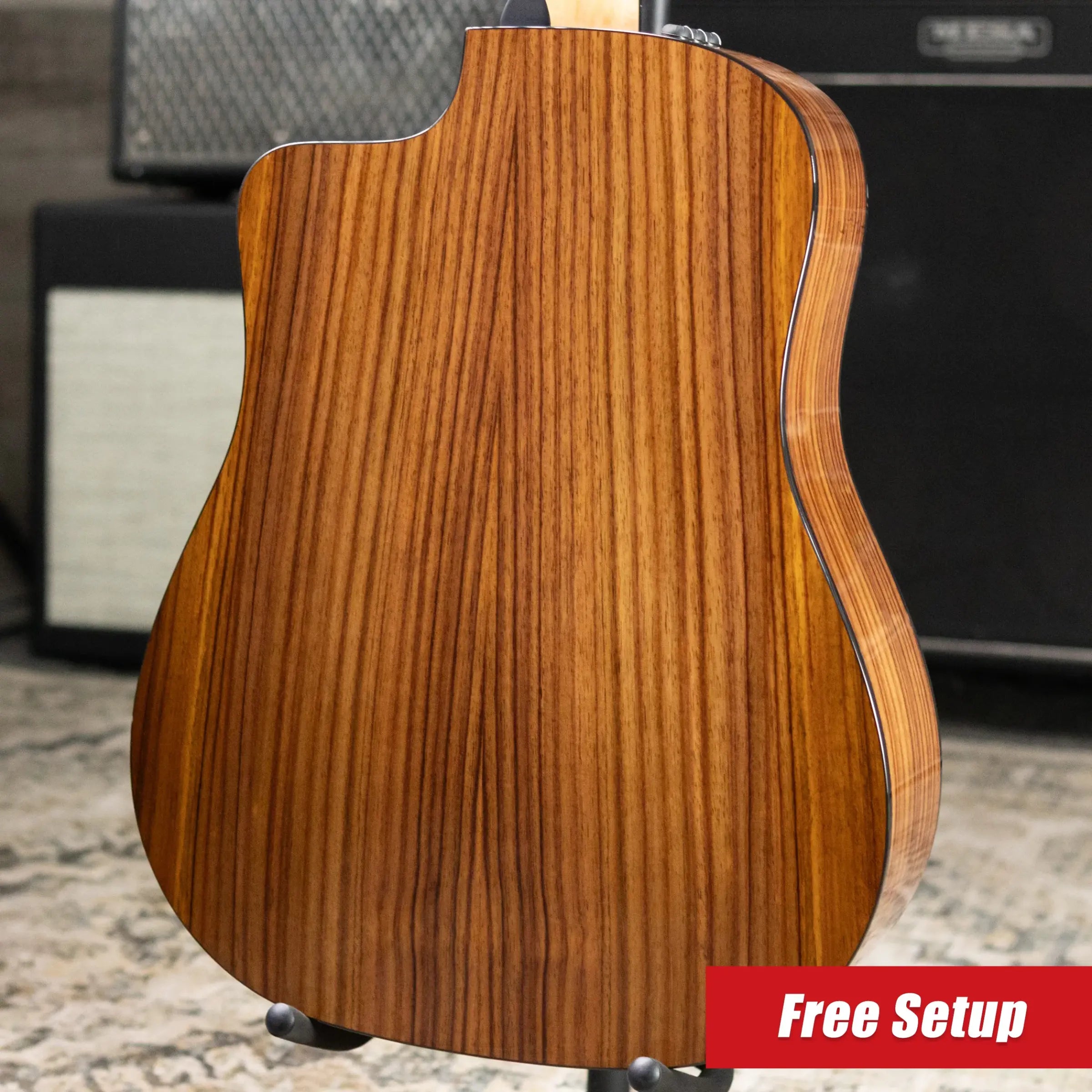 Taylor 210ce Plus Dreadnought Acoustic/Electric Guitar with Aerocase - Demo