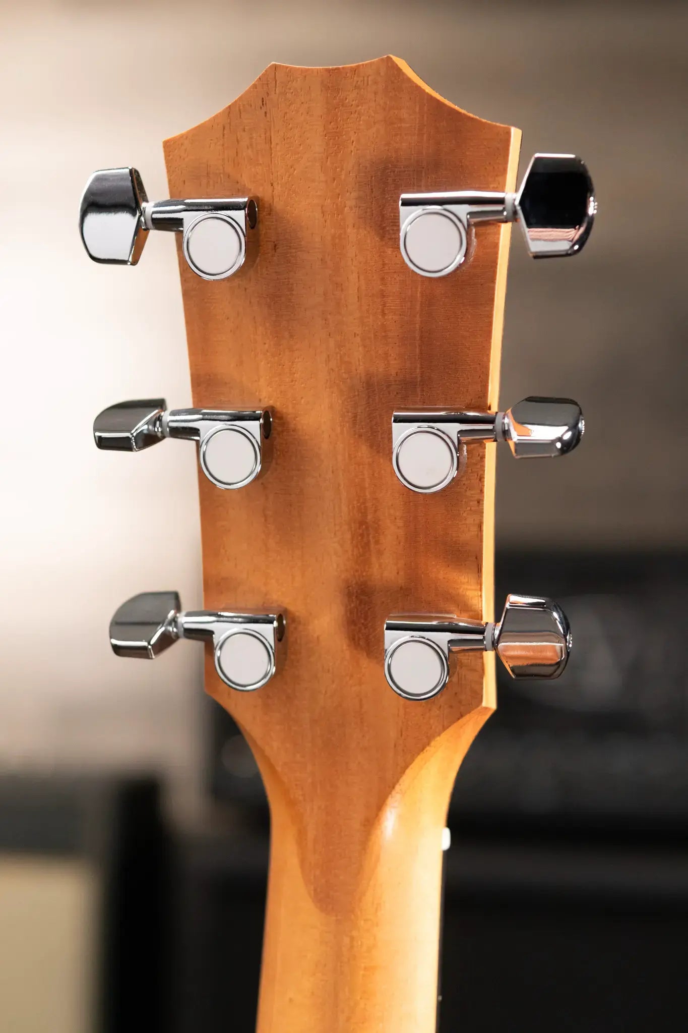 Taylor 212ce Grand Concert Acoustic/Electric Guitar with Gig Bag
