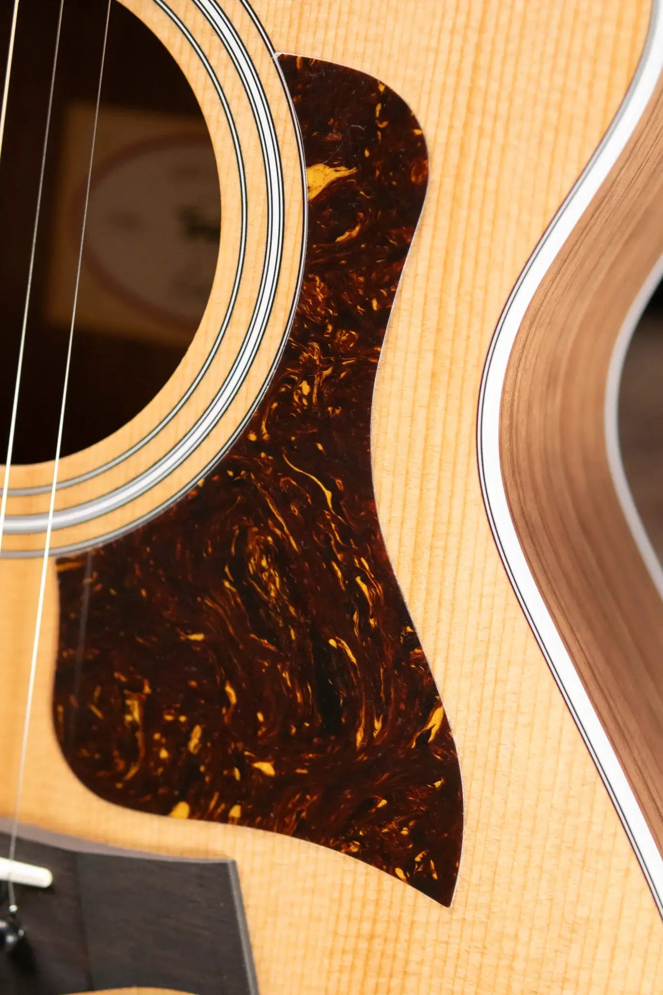 Taylor 212ce Grand Concert Acoustic/Electric Guitar with Gig Bag