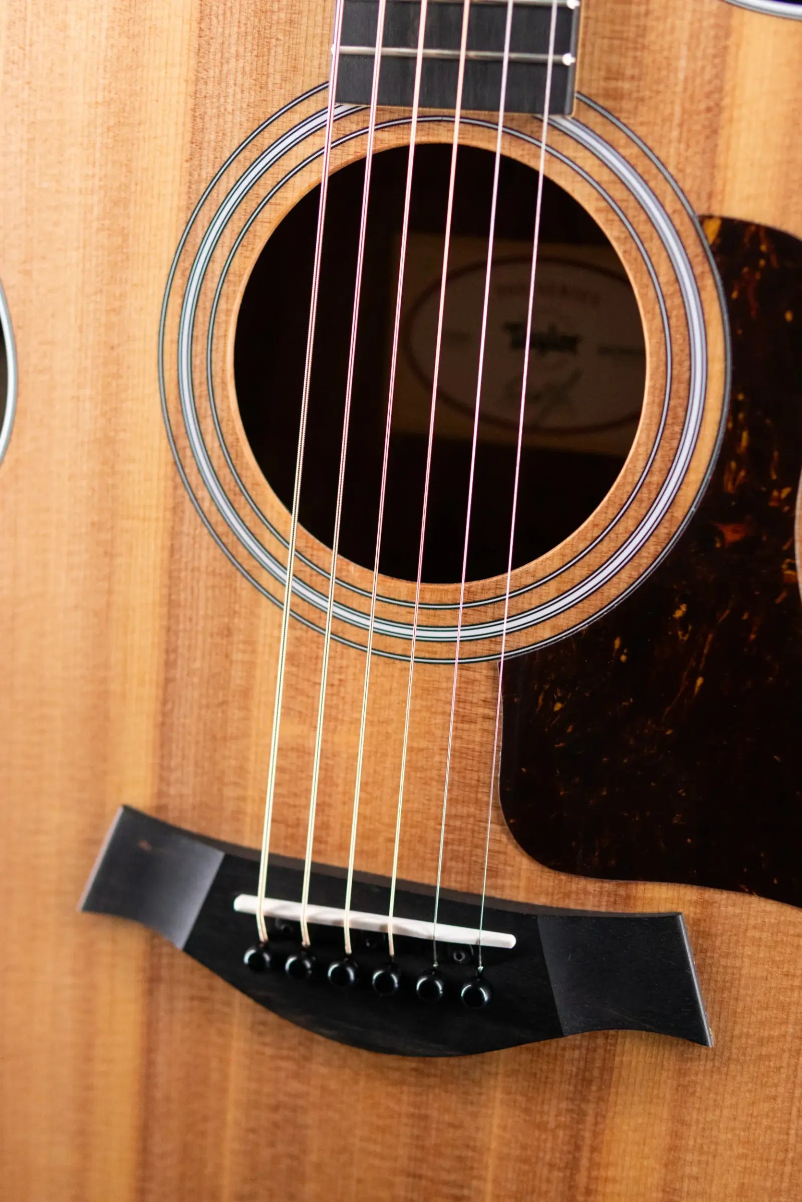Taylor 212ce Grand Concert Acoustic/Electric Guitar with Gig Bag