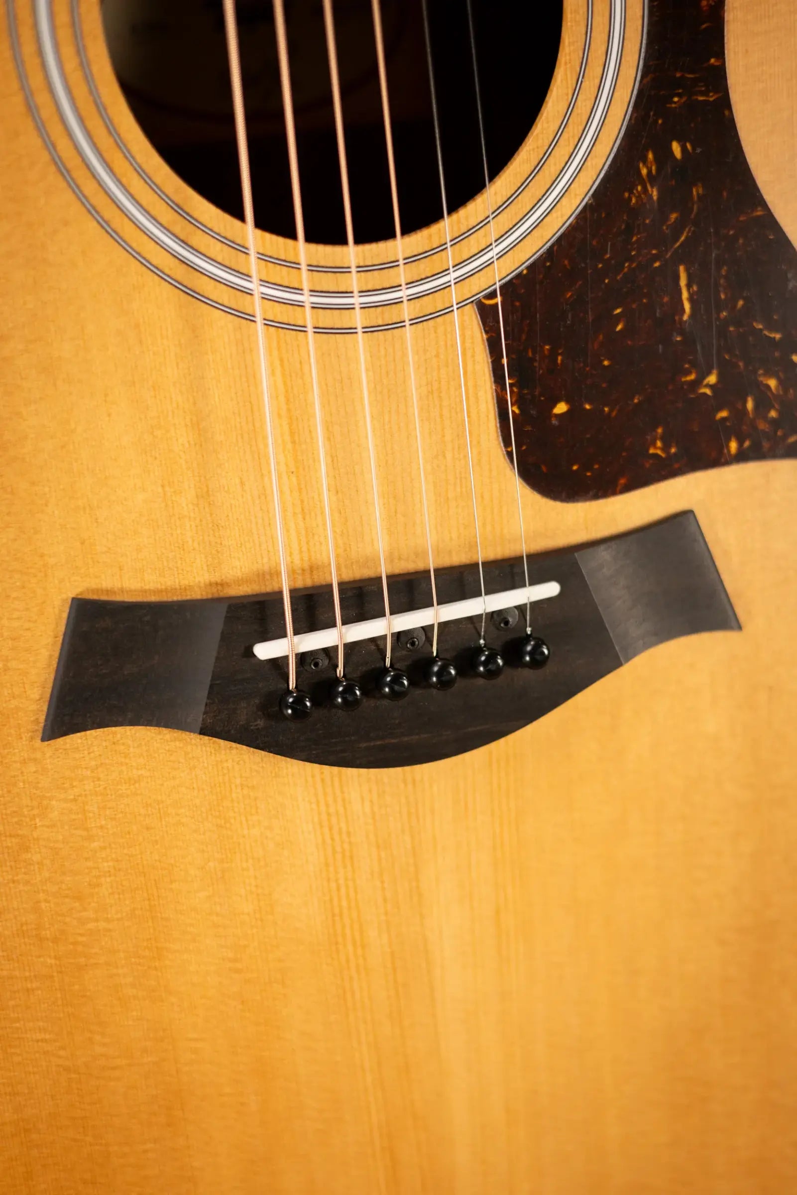 Taylor 212ce Grand Concert Acoustic/Electric Guitar with Gig Bag