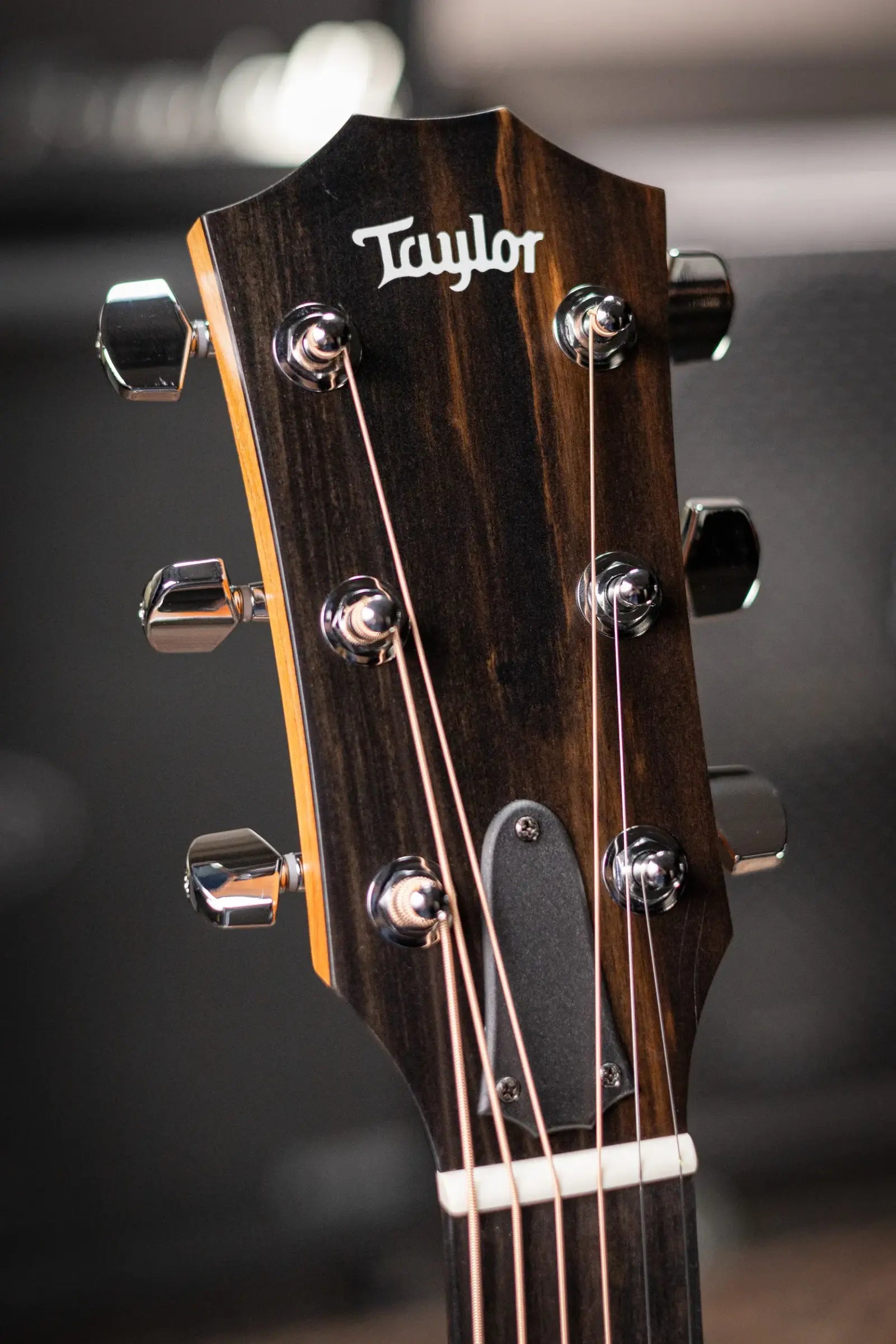Taylor 212ce Grand Concert Acoustic/Electric Guitar with Gig Bag