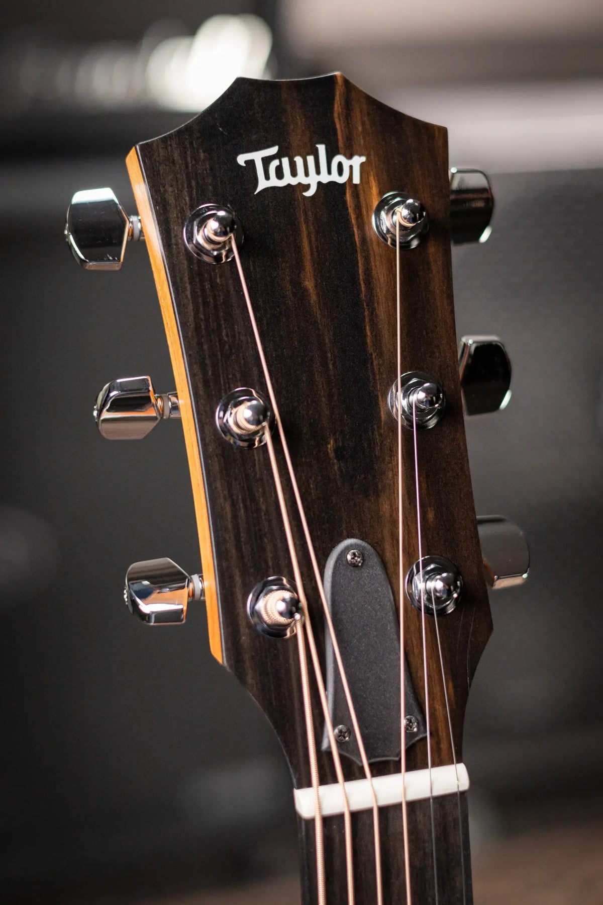 Taylor 212ce Grand Concert Acoustic/Electric Guitar with Gig Bag