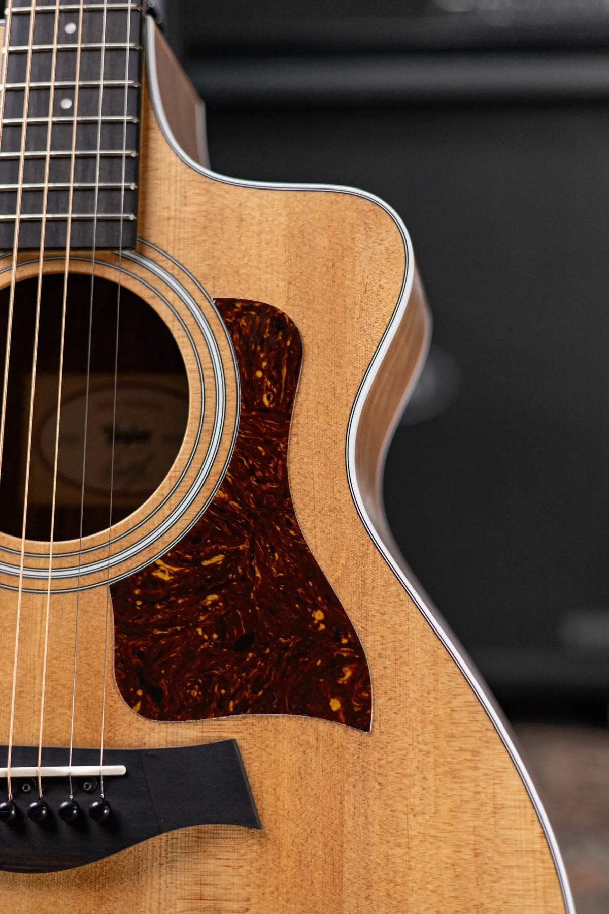 Taylor 212ce Grand Concert Acoustic/Electric Guitar with Gig Bag