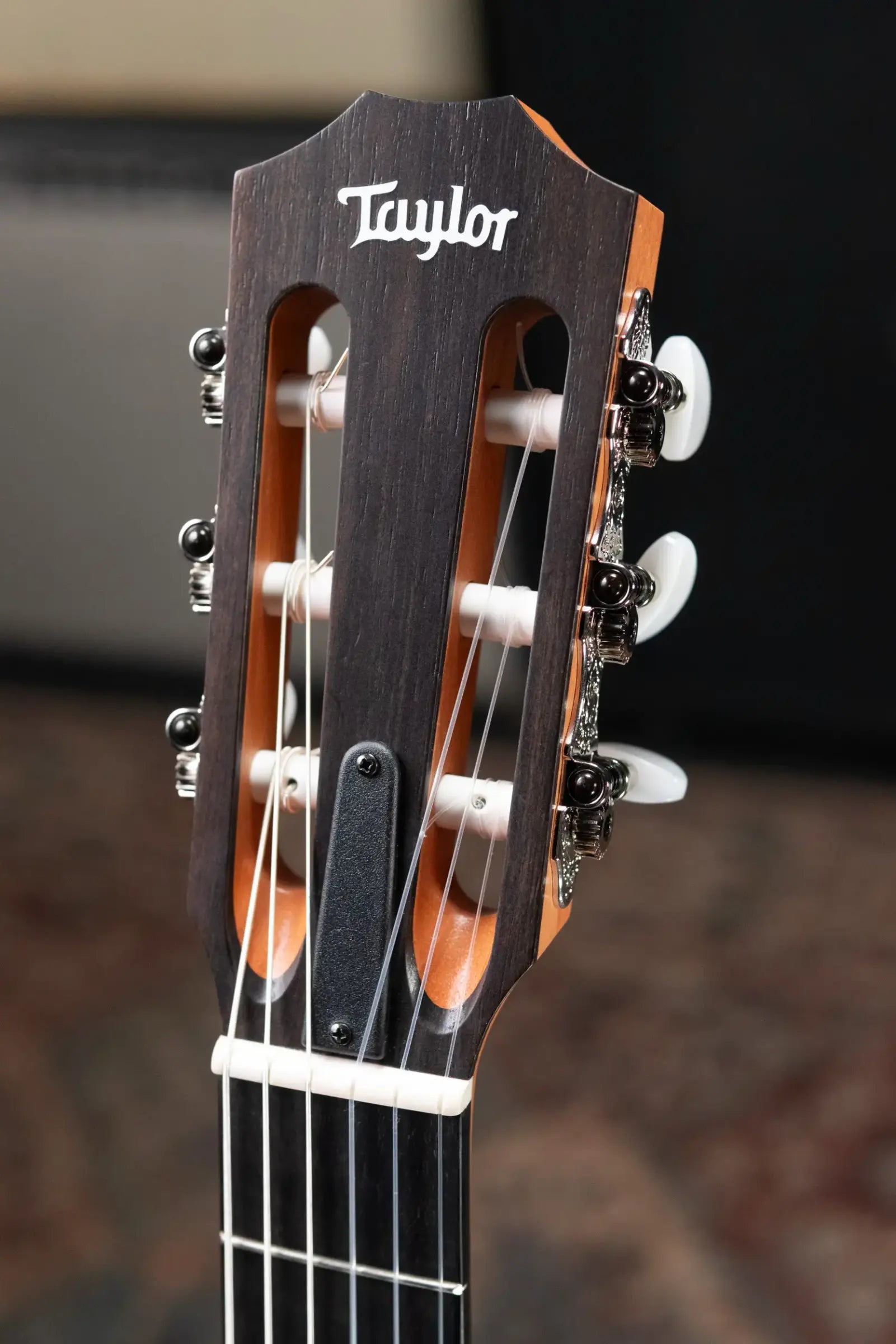 Taylor 212ce-N Plus Grand Concert Acoustic/Electric Guitar with Aerocase