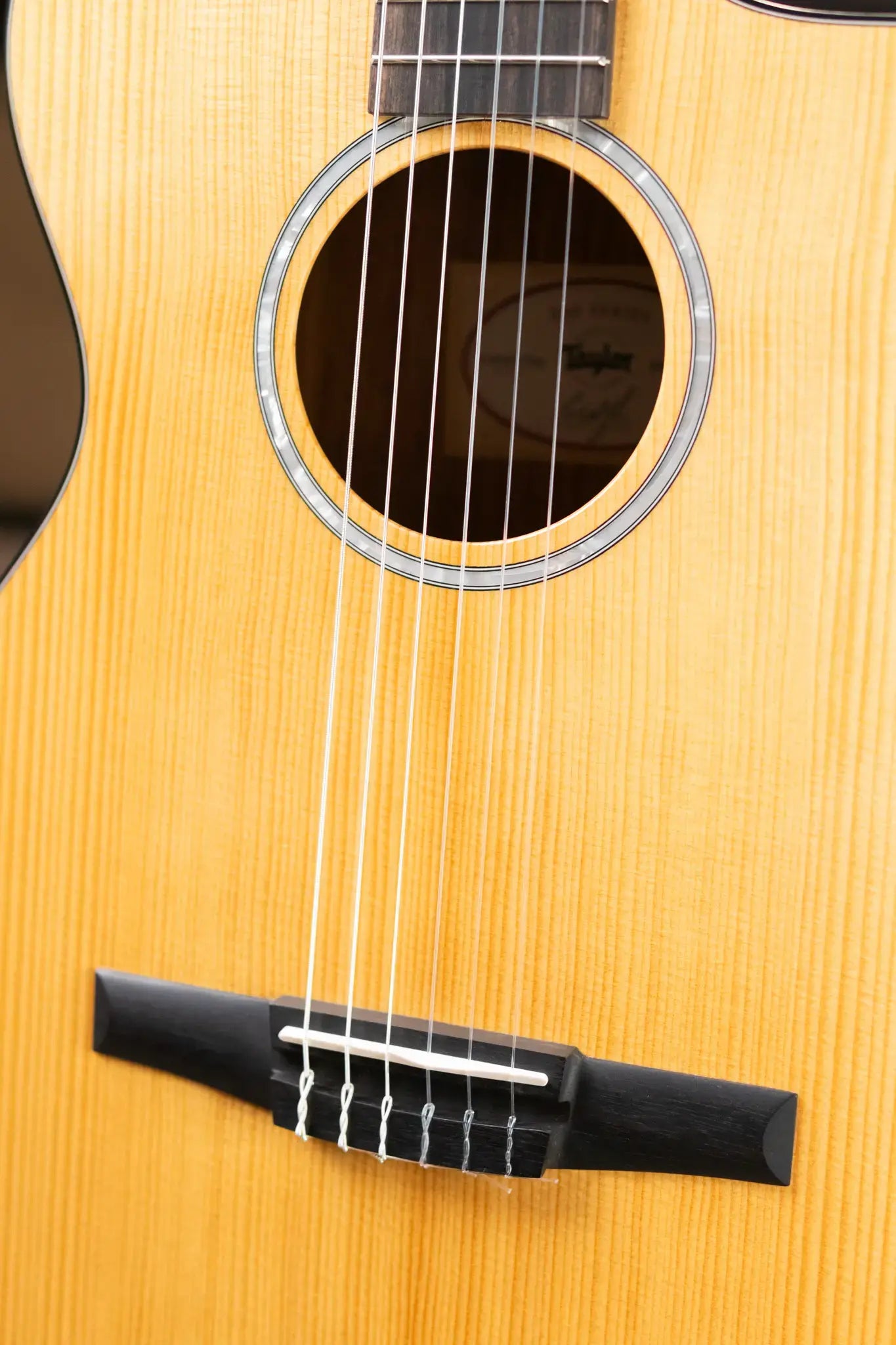 Taylor 212ce-N Plus Nylon Grand Concert Acoustic/Electric Guitar with Aerocase