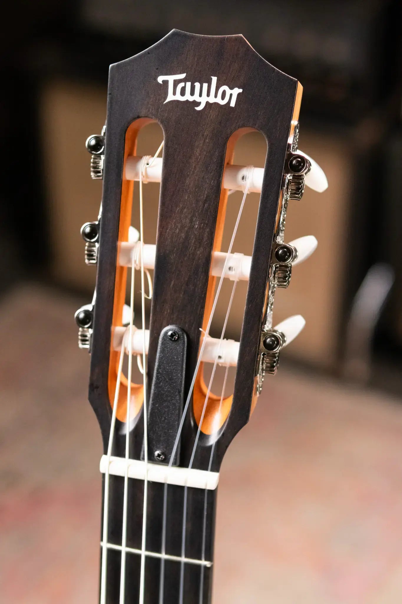 Taylor 212ce-N Plus Nylon Grand Concert Acoustic/Electric Guitar with Aerocase