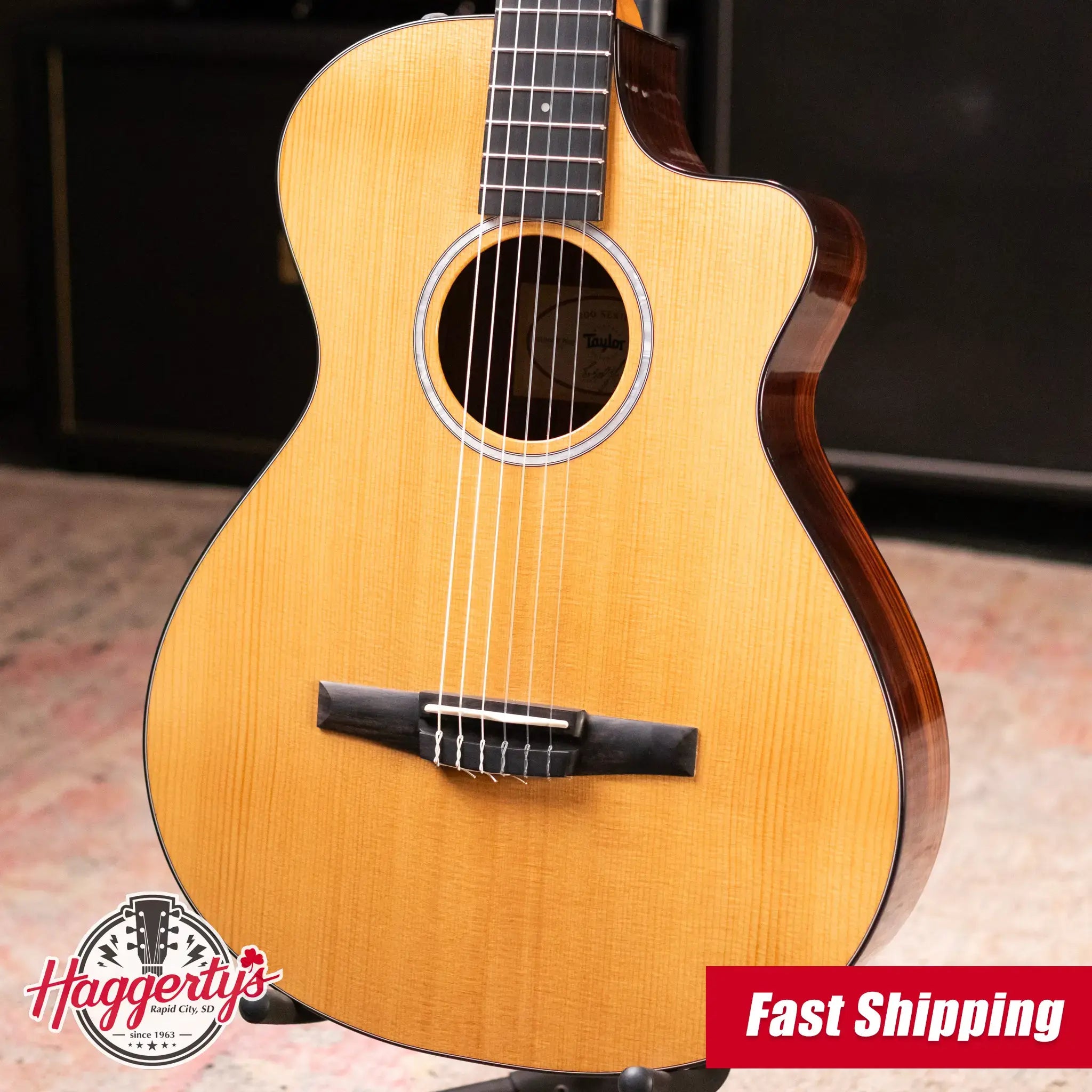 Taylor 212ce-N Plus Nylon Grand Concert Acoustic/Electric Guitar with Aerocase